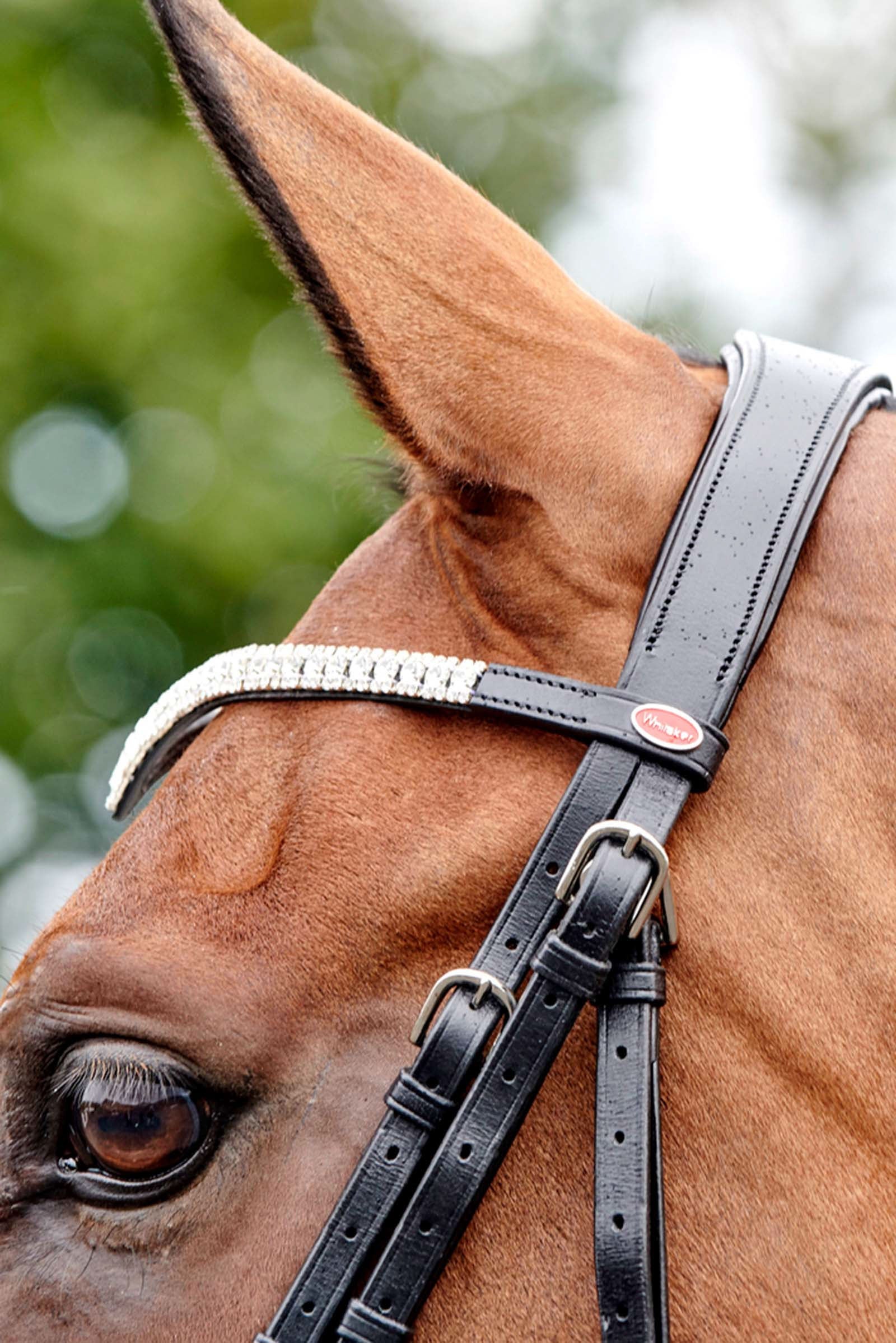 John Whitaker Lynton Snaffle Bridle with Spare Browband Bridles & Reins