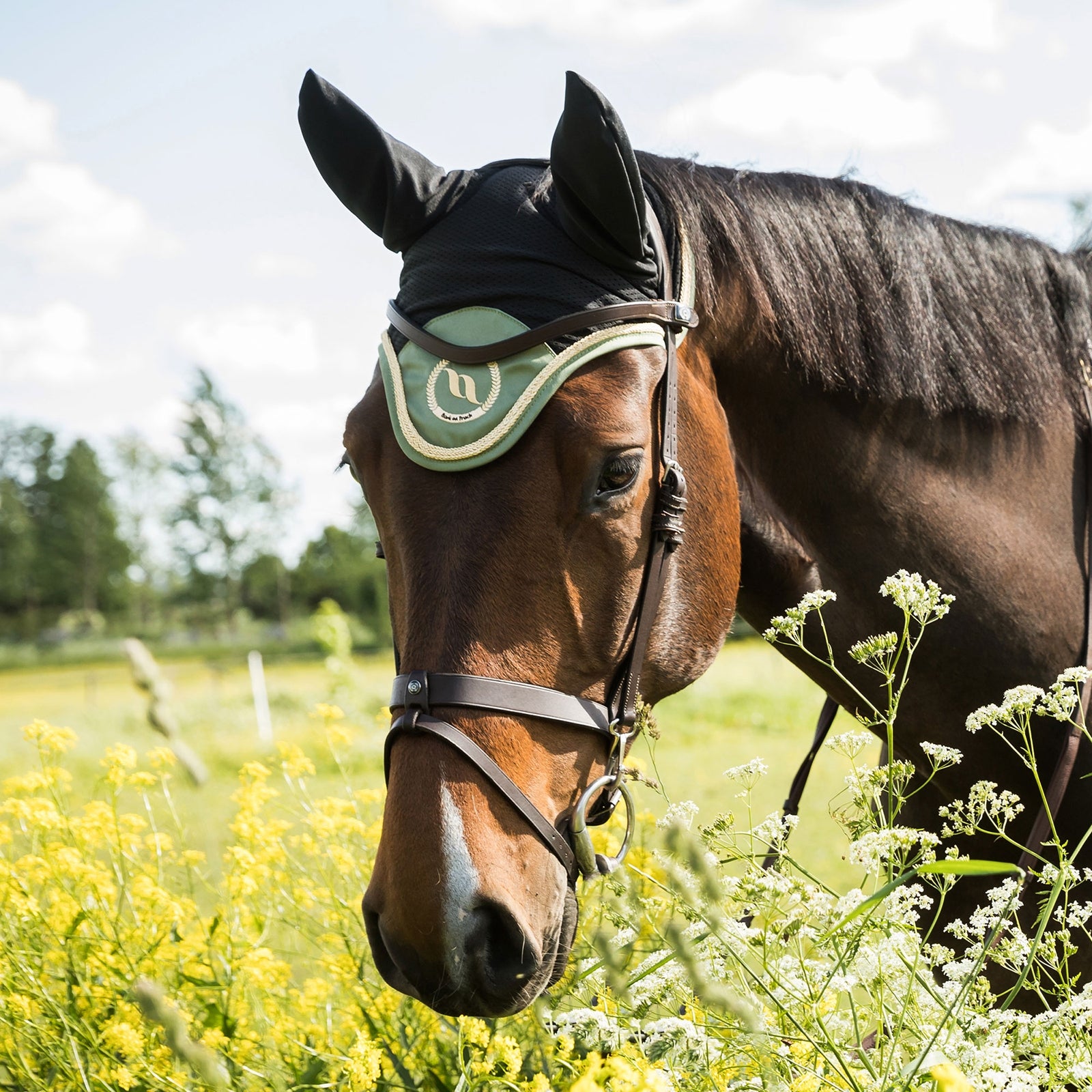 Back on Track Nights Collection Horse Bonnet With Welltex® Saddle Pads