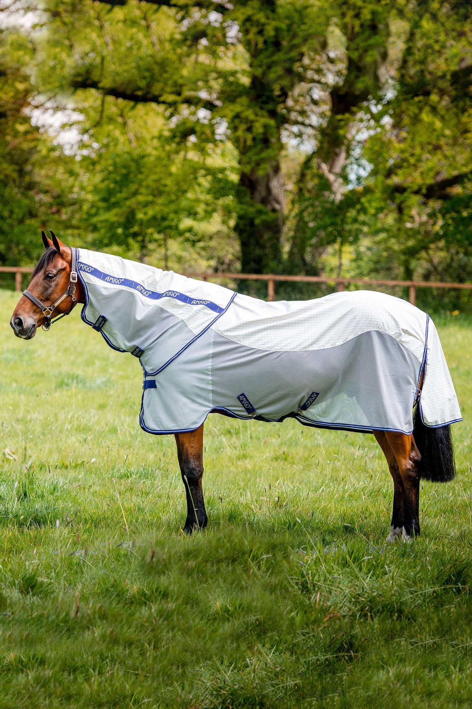 Horseware Amigo Airflow flueteppe med avtakbar nakkedel Dekken