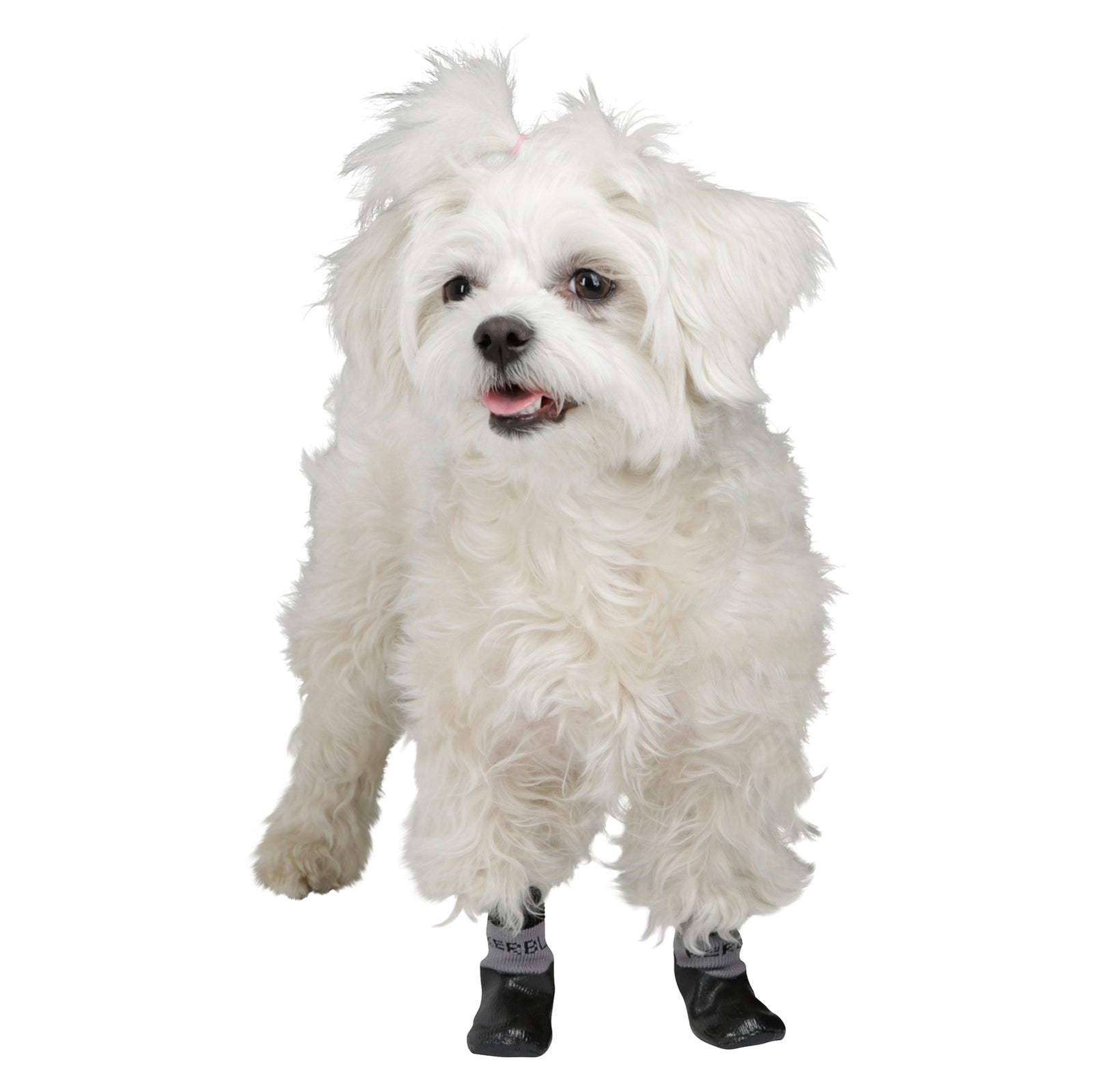 Kerbl Dog Socks Susi with Nitrile Coating, Size S-M Dog Accesories