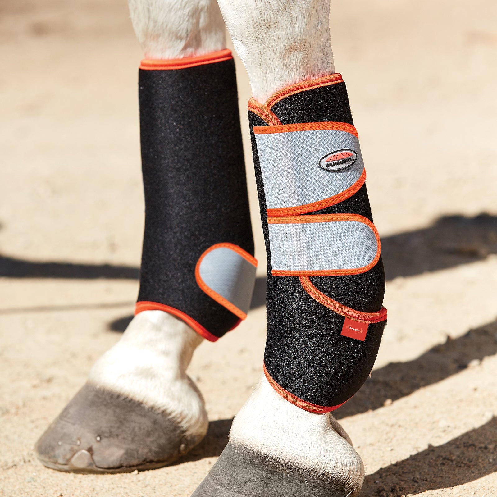 Weatherbeeta Therapy-tec sportsbelegg Leg Protection & Hoof Protection for Horses