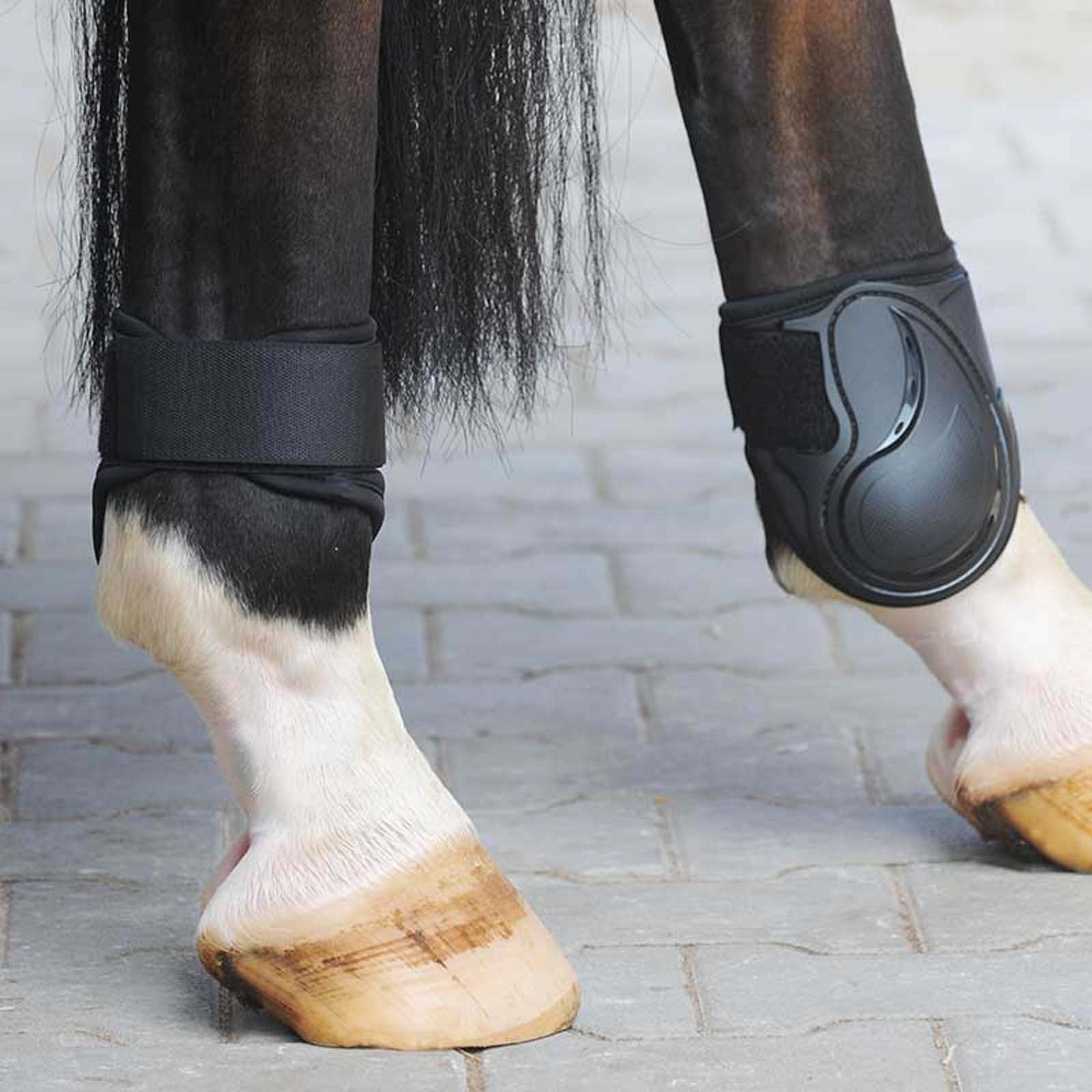 Kavalkade Compete bakbeinsbelegg Leg Protection & Hoof Protection for Horses