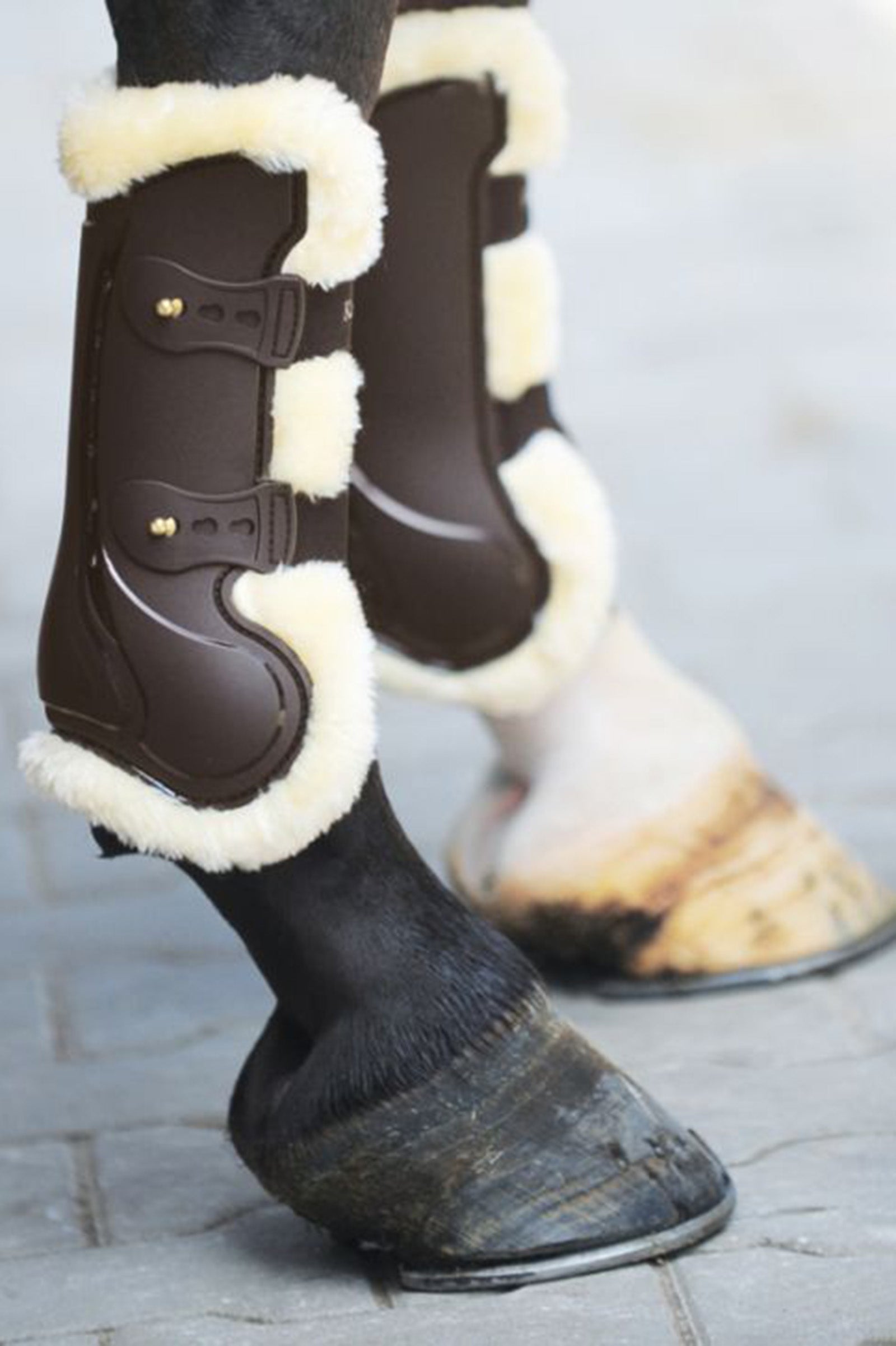 Kavalkade Compete senebelegg med ull Leg Protection & Hoof Protection for Horses