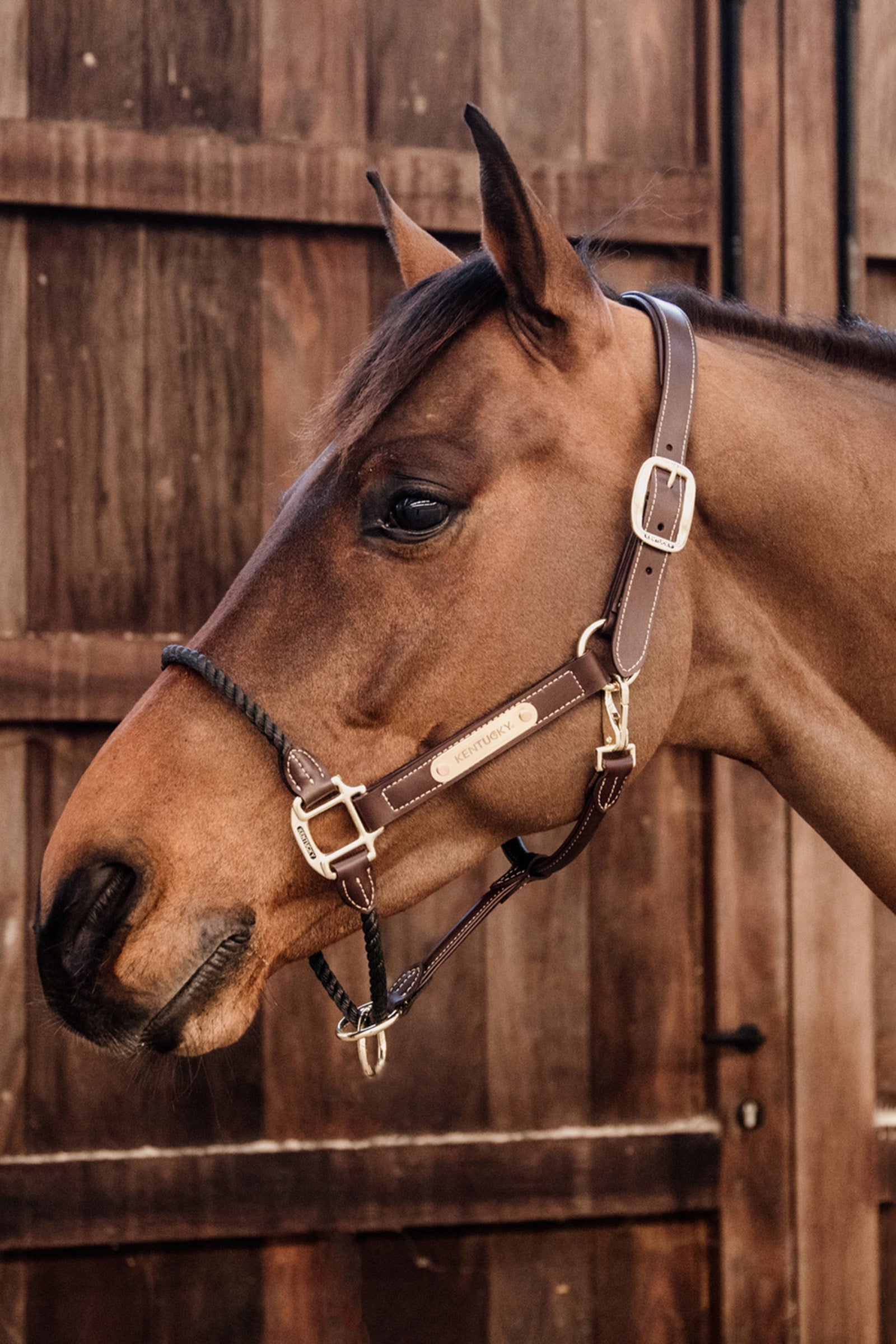 Kentucky Horsewear Leather Rope Halter Halters & Leads