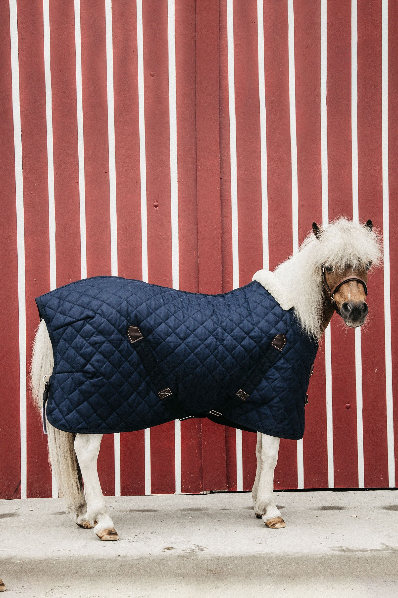 Kentucky Horsewear stalldekken, 400 gram Dekken