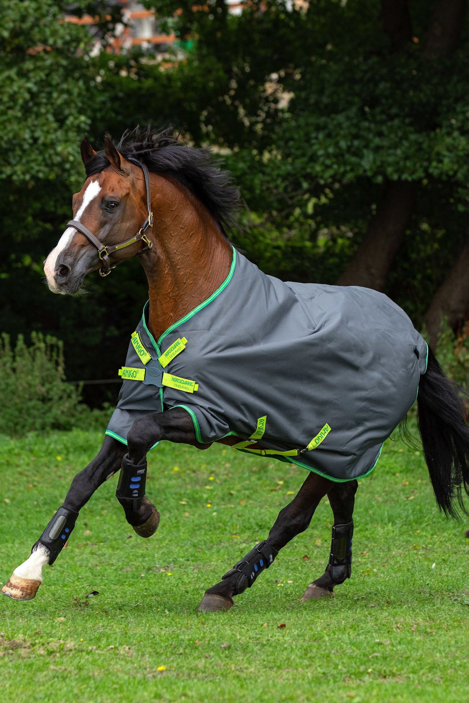 Horseware Amigo Hero 900 Lite Disc, utedekken, 0 gram Dekken
