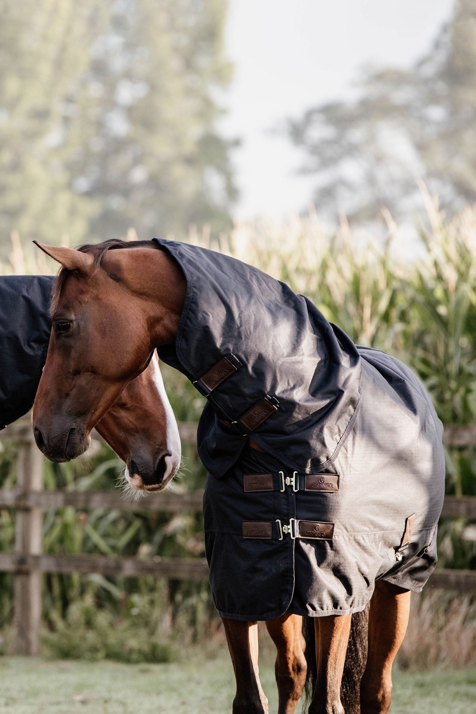 Kentucky Horsewear All Weather Waterproof Classic utedekken, 0 gram Dekken