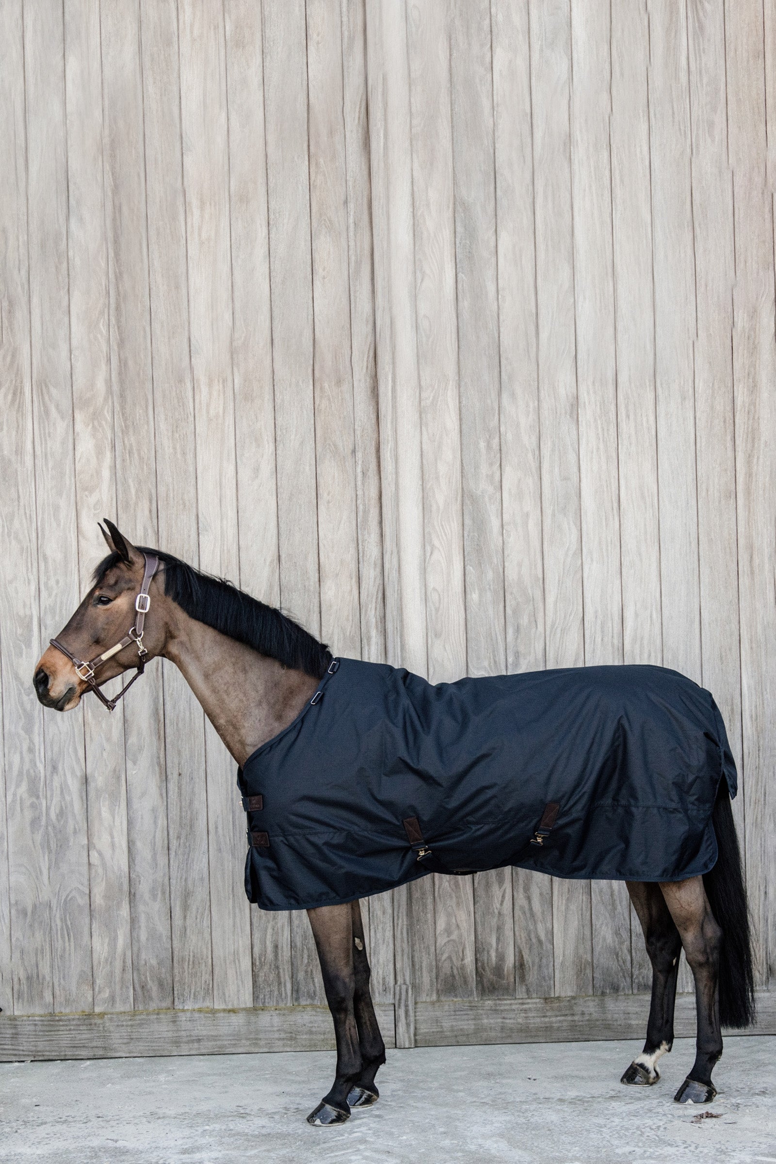 Kentucky Horsewear All Weather Waterproof Classic utedekken, 50 gram Dekken