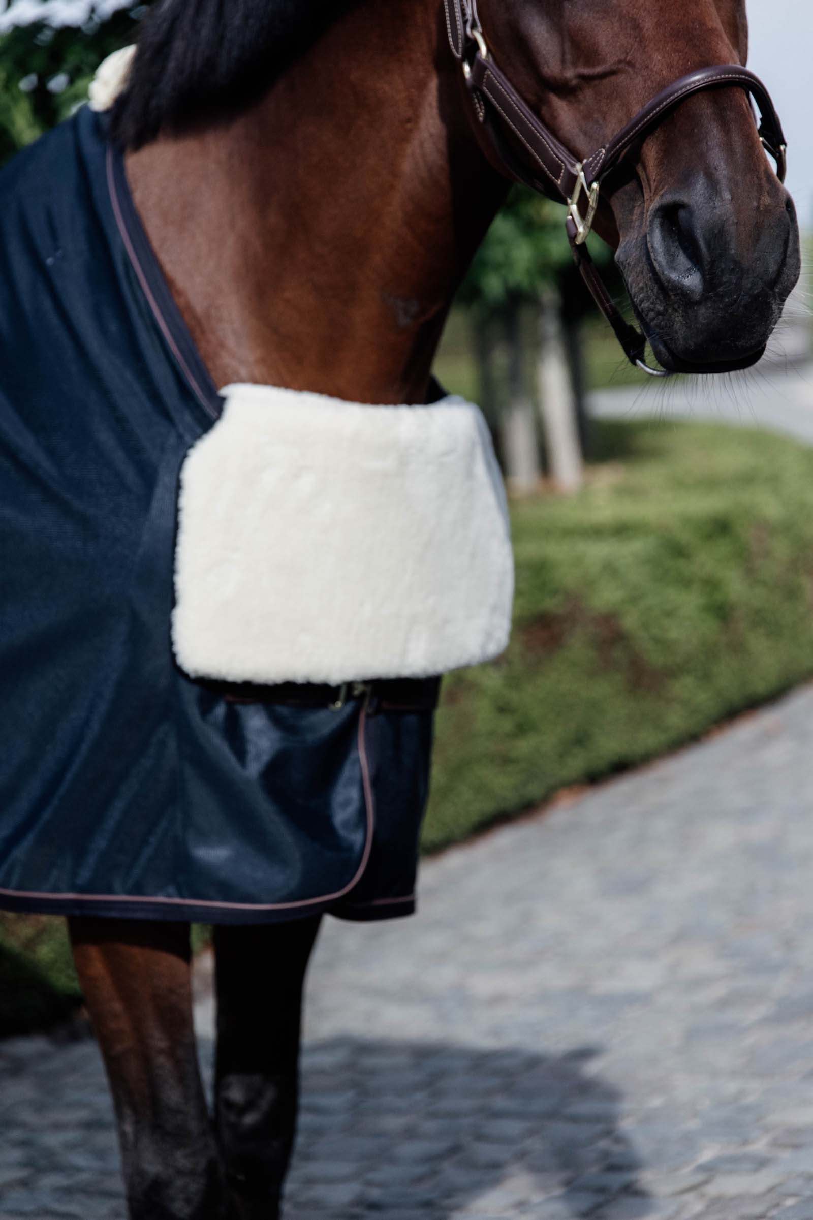 Kentucky Horsewear BIB brystbeskytter i saueskinn Dekken