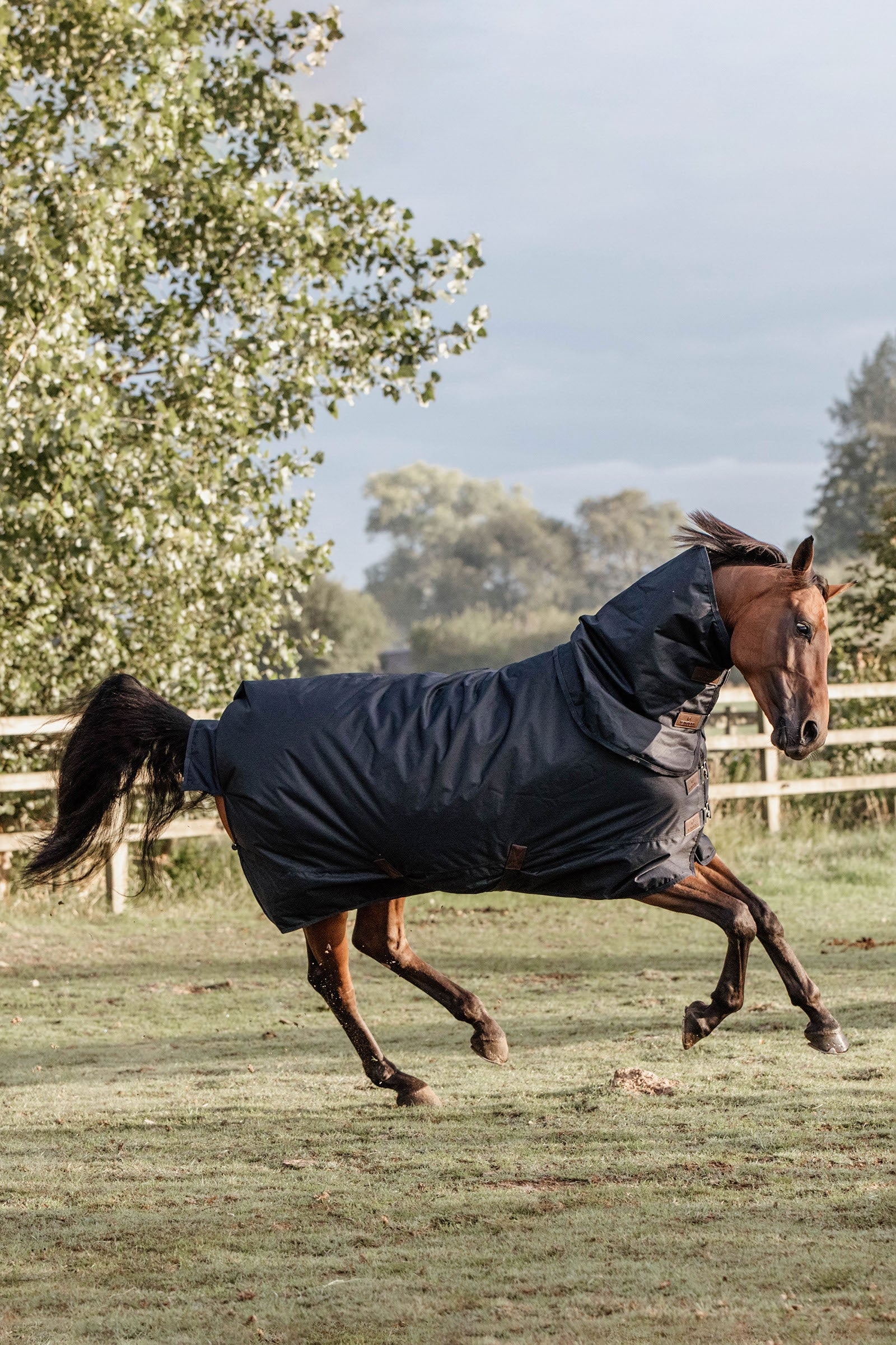 Kentucky Horsewear All Weather Classic utedekken, 150 gram Dekken
