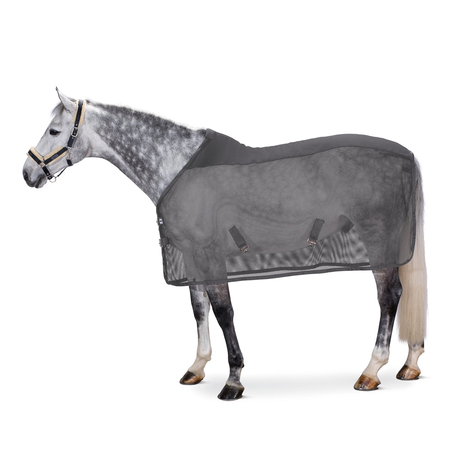 Eskadron Pro Cover Dura fluedekken Dekken