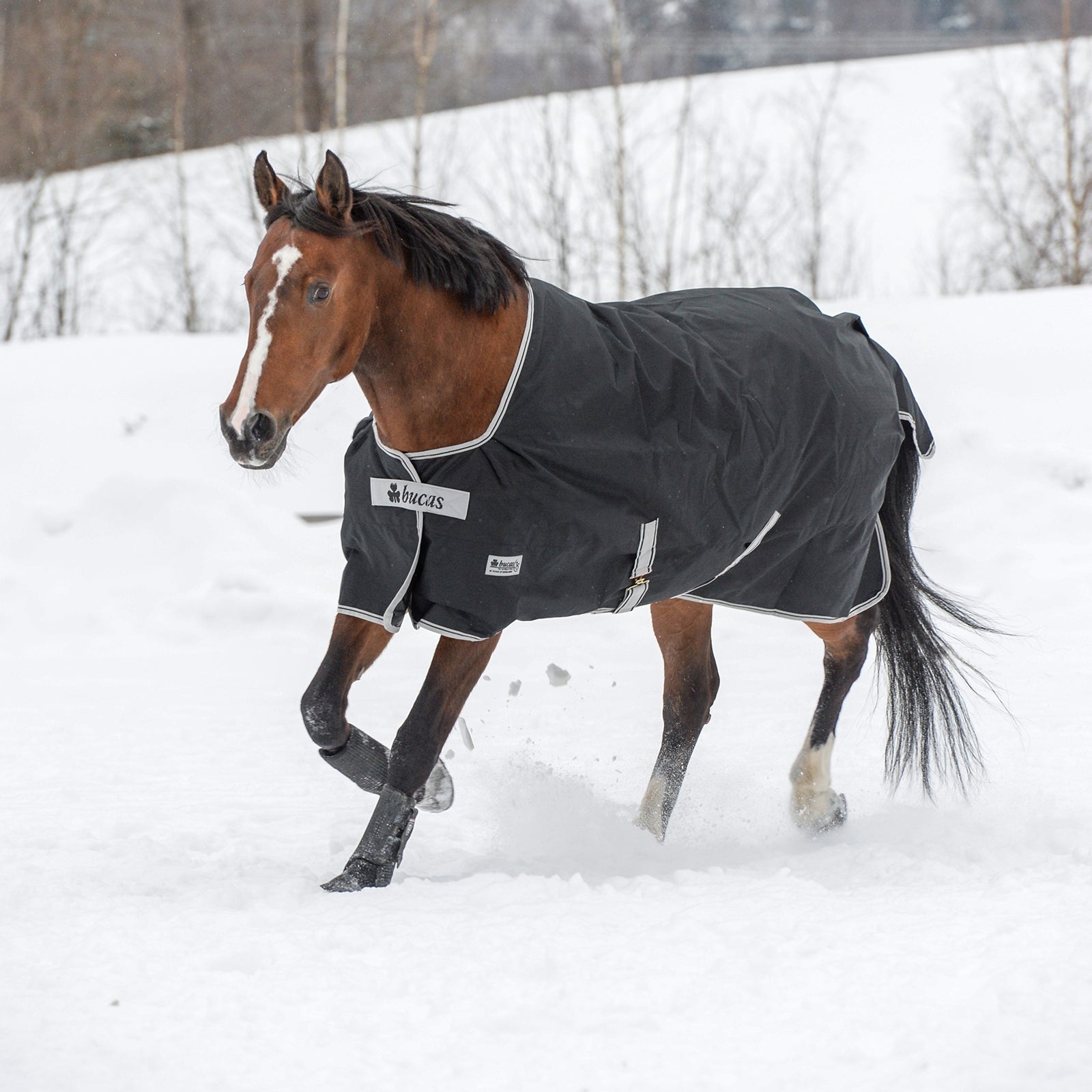 Bucas Anniversary Light SD utedekken, 150 gram Dekken