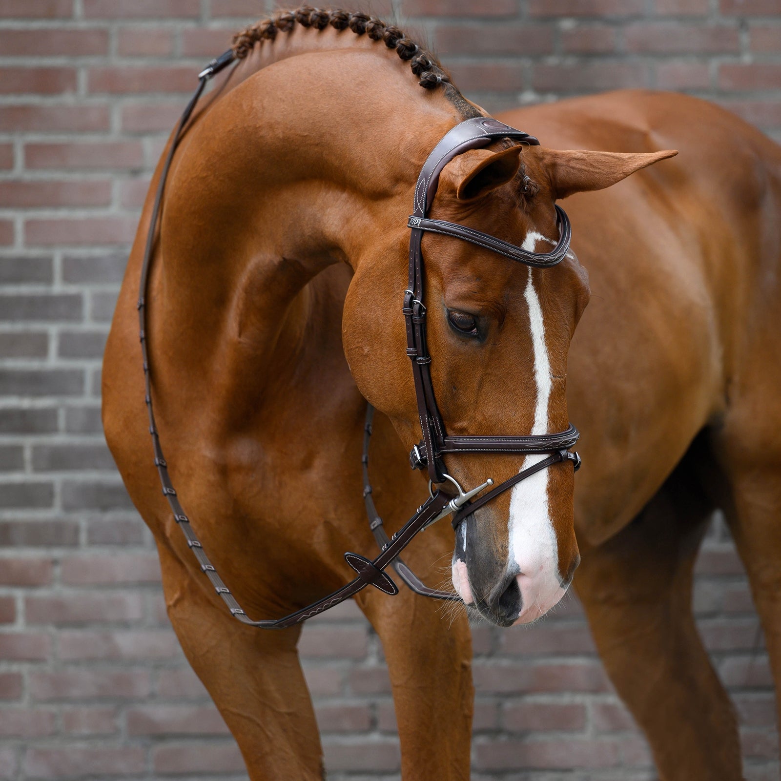 PS of Sweden Stockholm hodelag Hodelag & Tøyler