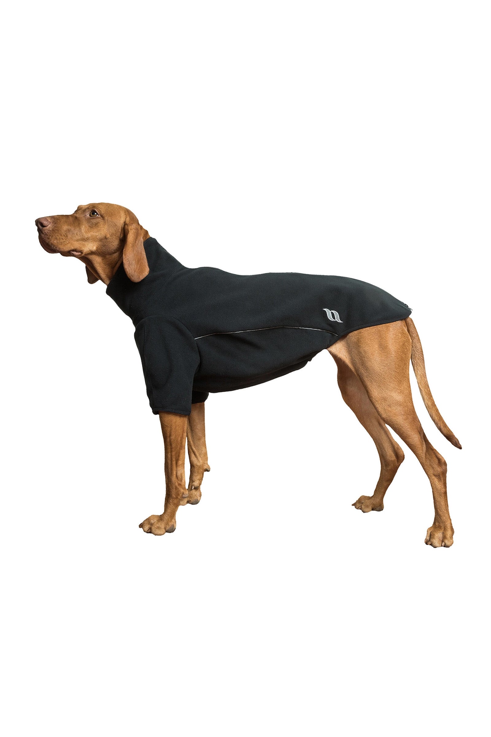 Back on Track Cassie All-Weather Jumper, 45-50cm Dog Accesories