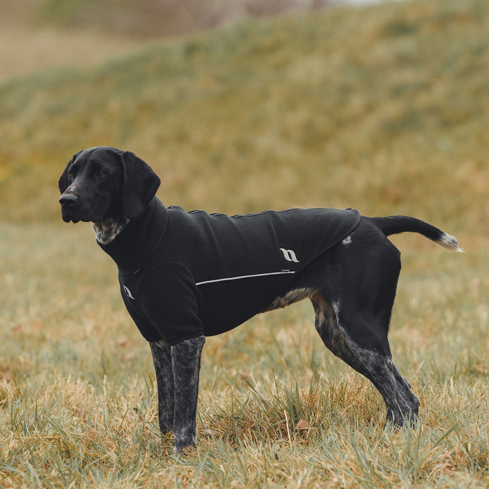 Back on Track Cassie All-Weather Jumper, 45-50cm Dog Accesories
