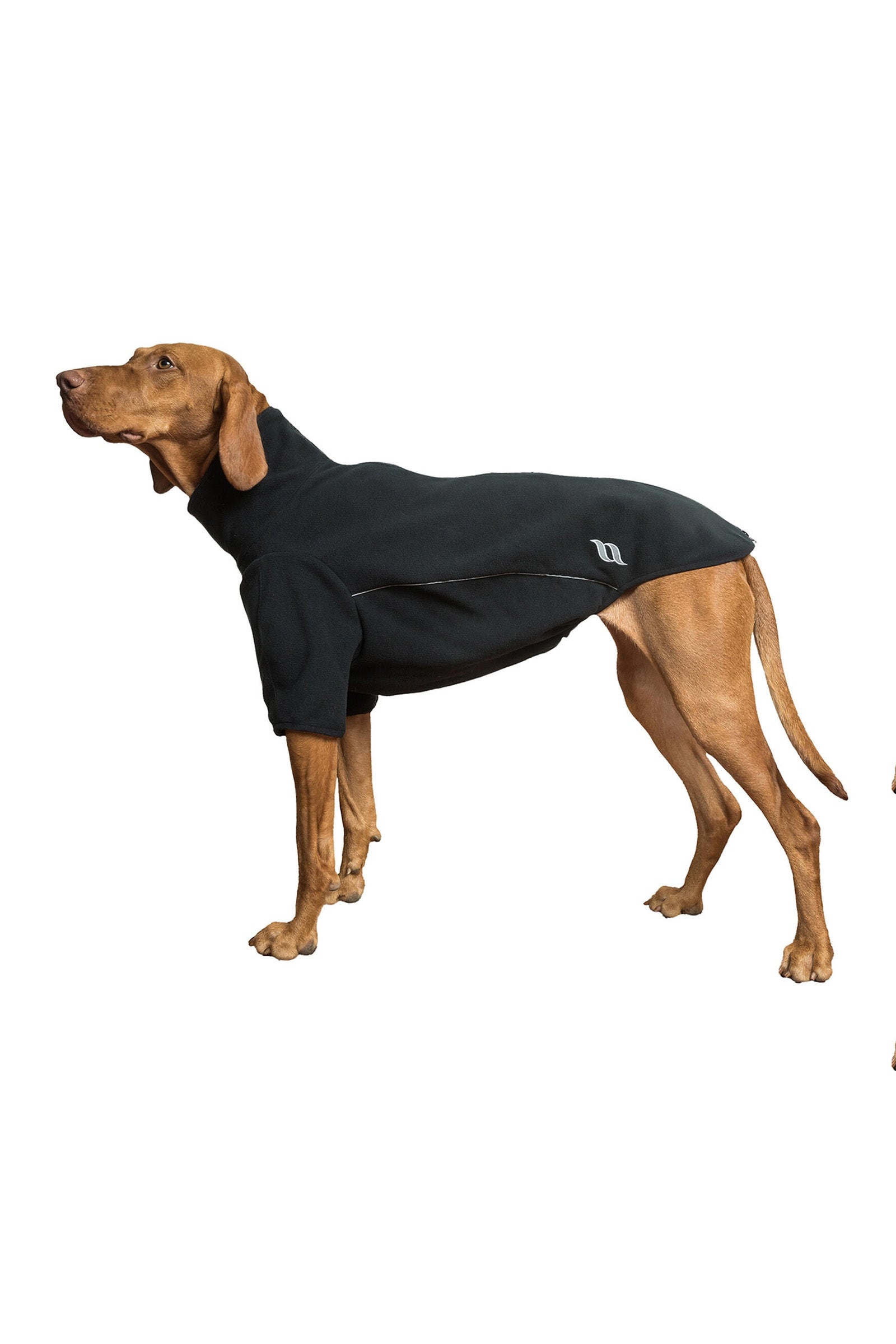 undefined Back on Track Cassie All-Weather Jumper, 55-60cm Dog Accesories