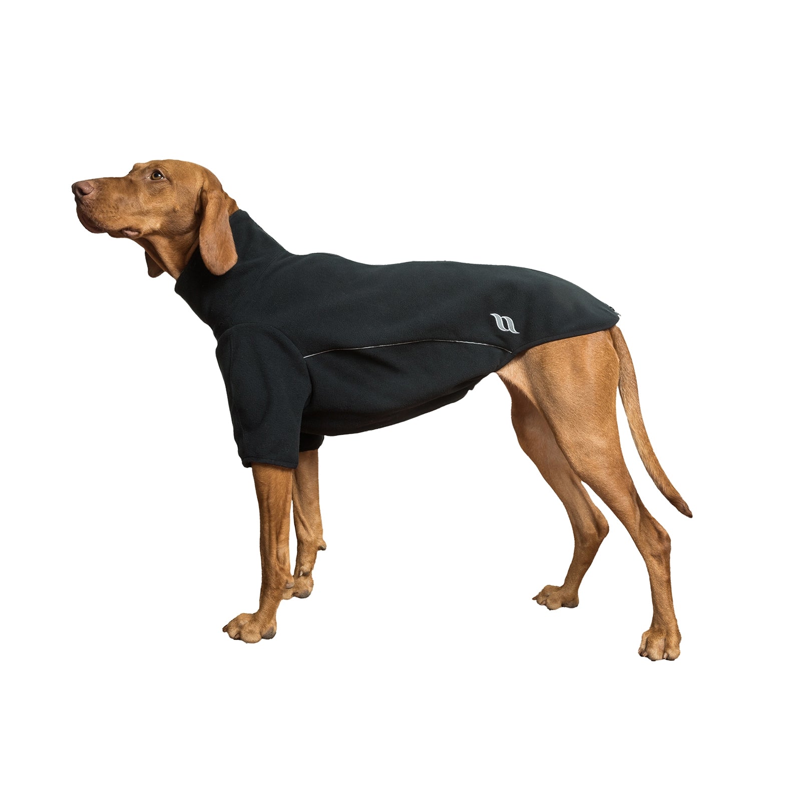 undefined Back on Track Cassie All-Weather Jumper, 55-60cm Dog Accesories