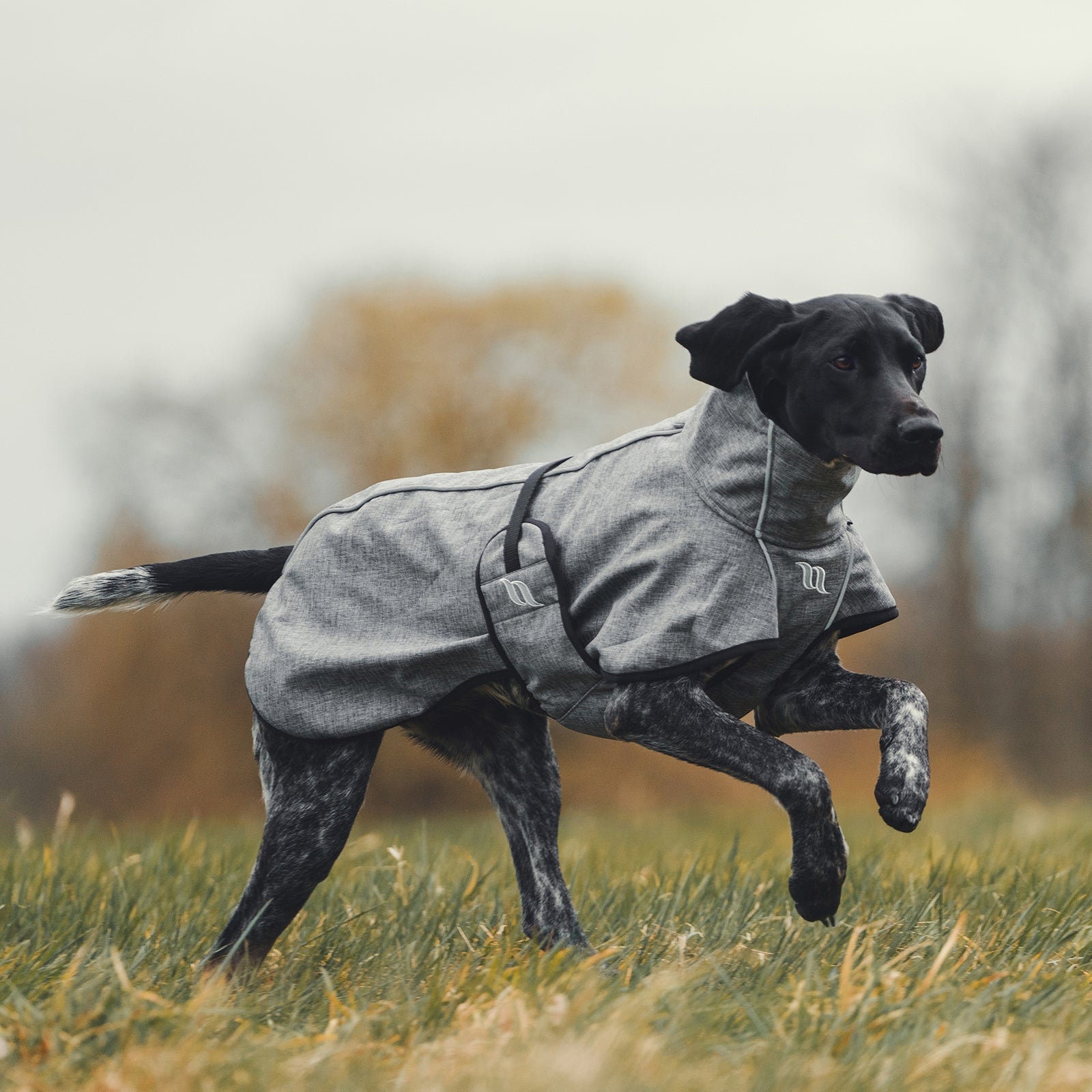 Back on Track Nella All-Round Dog Coat, 40-50cm Dog Accesories