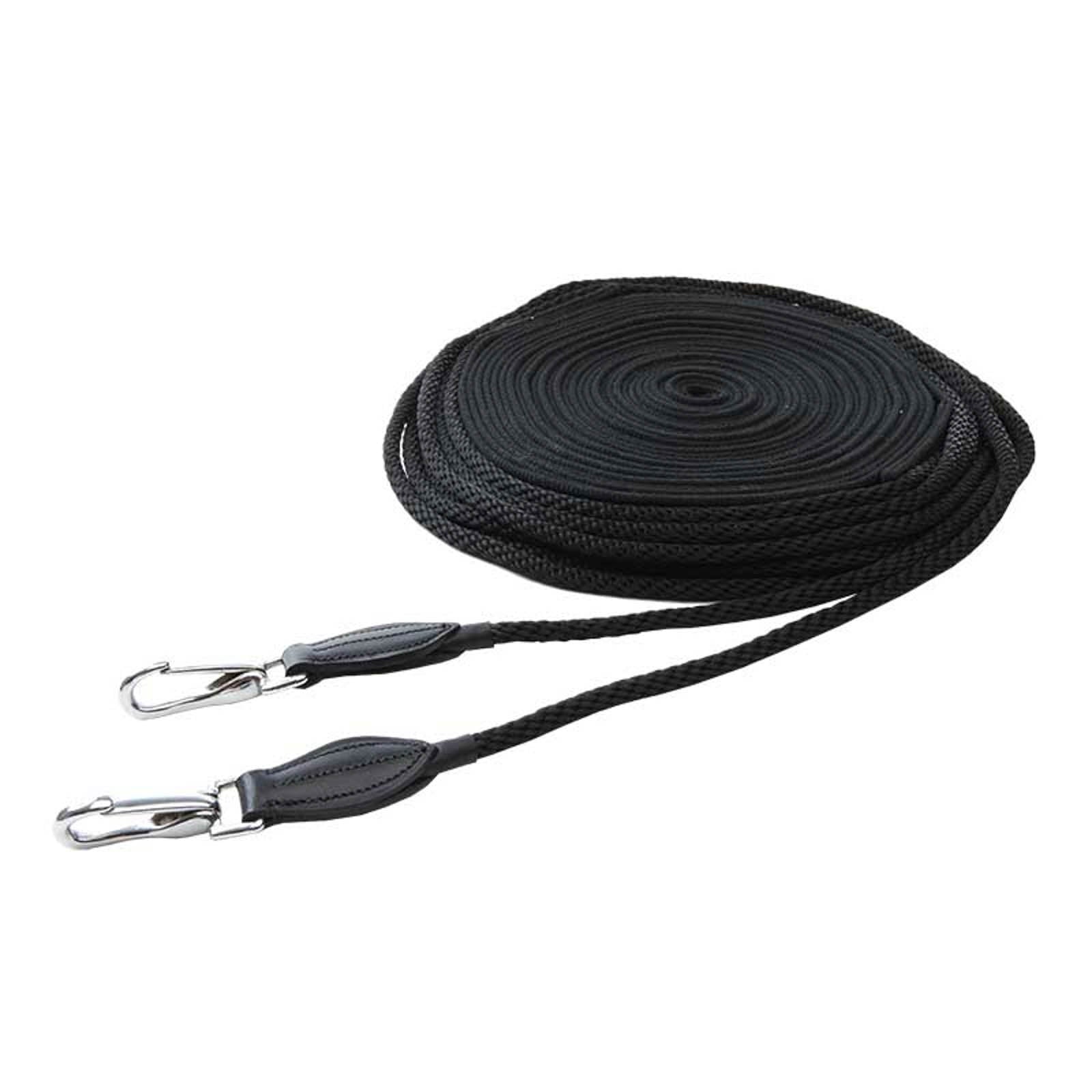 Kavalkade dobbellongering med snor Longering & Hjelpetøyler