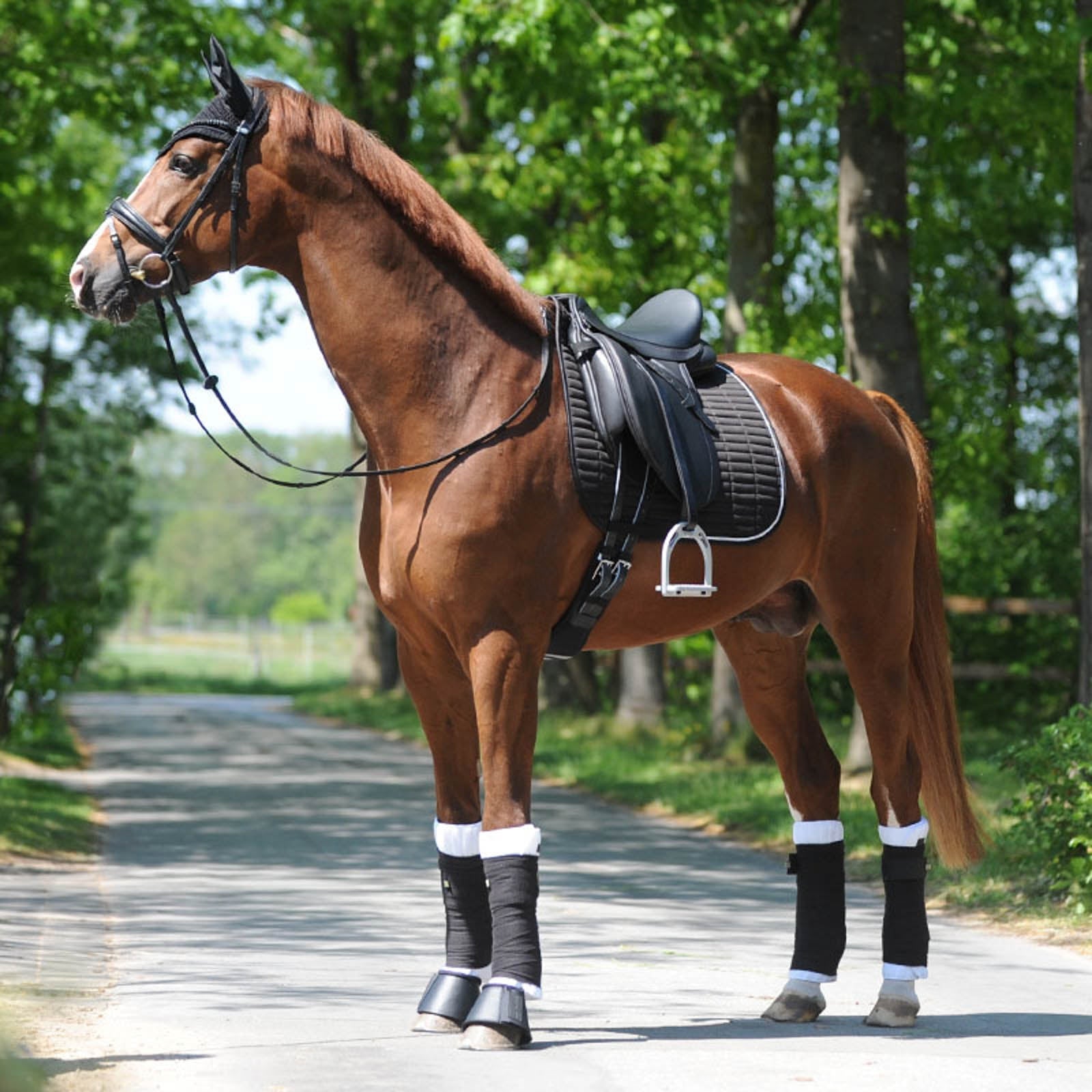 Kavalkade KavalEasy Strass Dressage Saddle Pad Saddle Pads