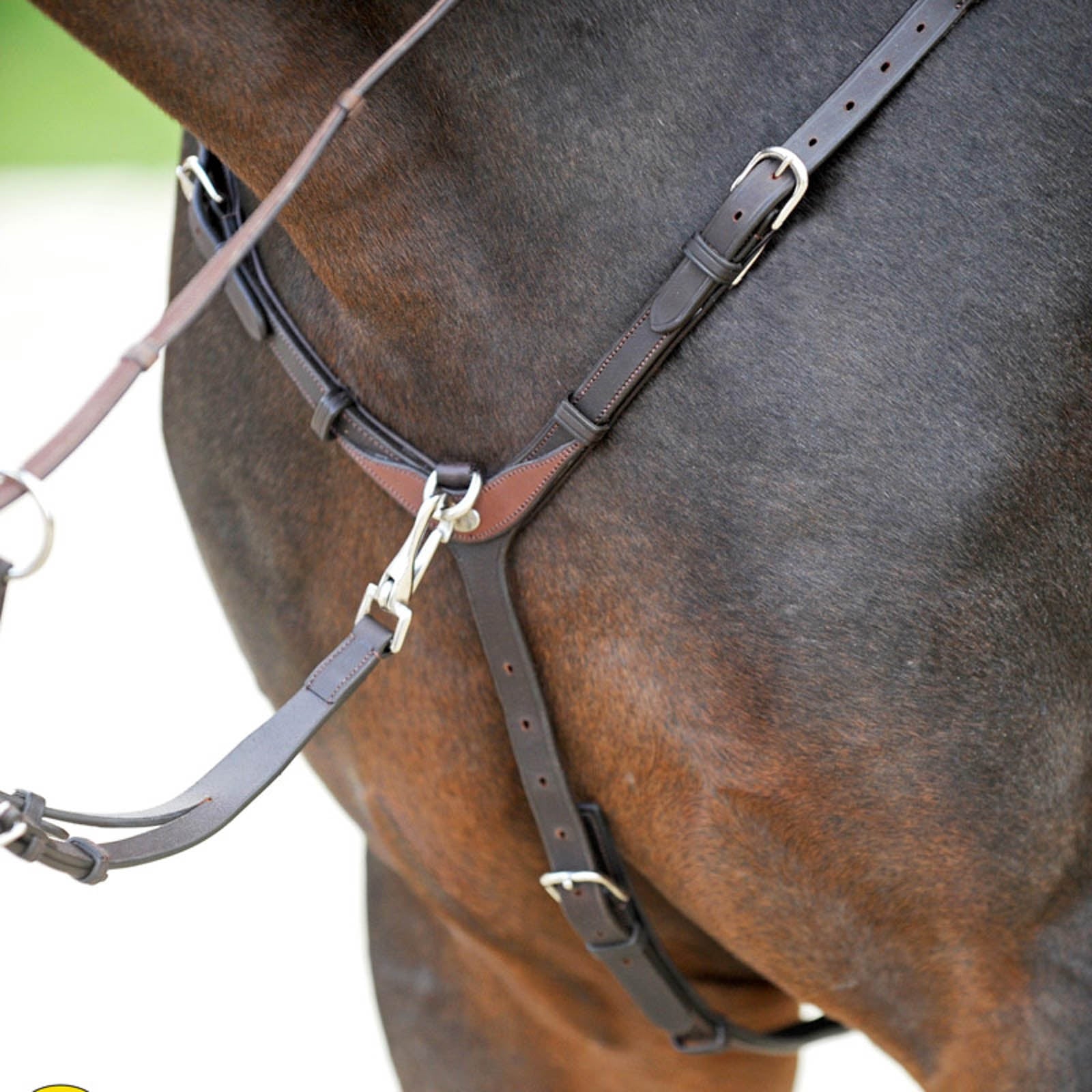 Kavalkade EveryDay Breastplate Bridles & Reins