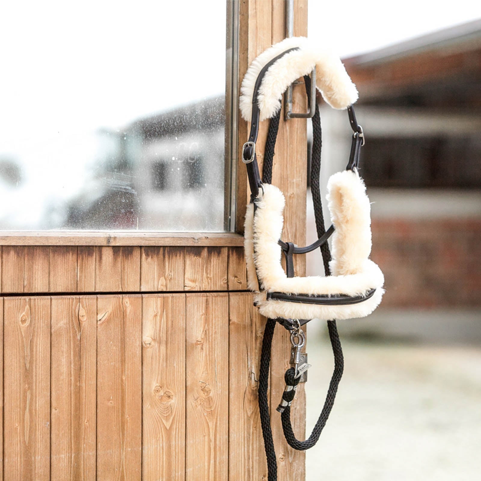 Kavalkade Marvellous Leather Halter with Sheepskin Halters & Leads