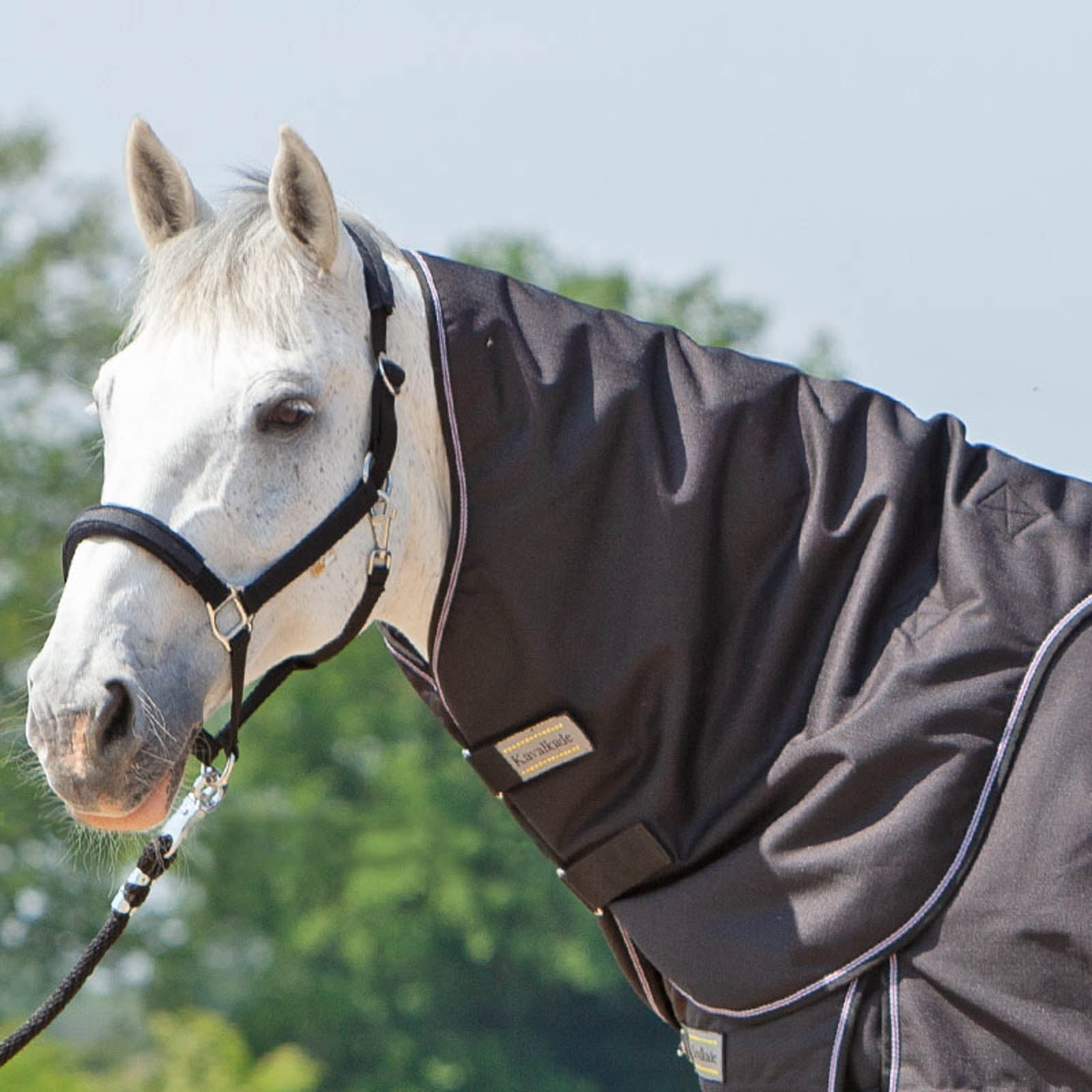 Kavalkade hals for Alaska IV, 100 gram Dekken