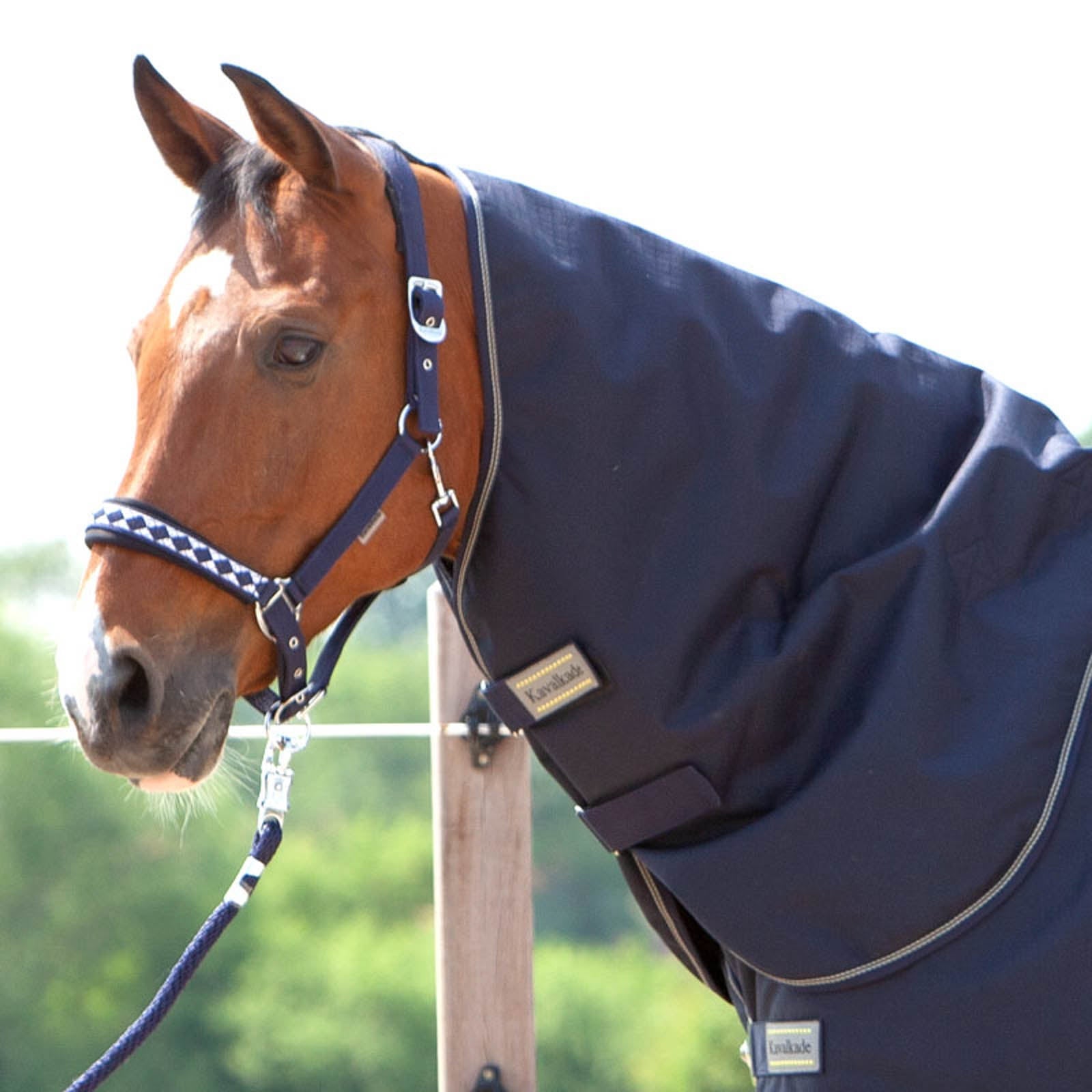 Kavalkade hals til Montreal utedekken, 100 gram Dekken