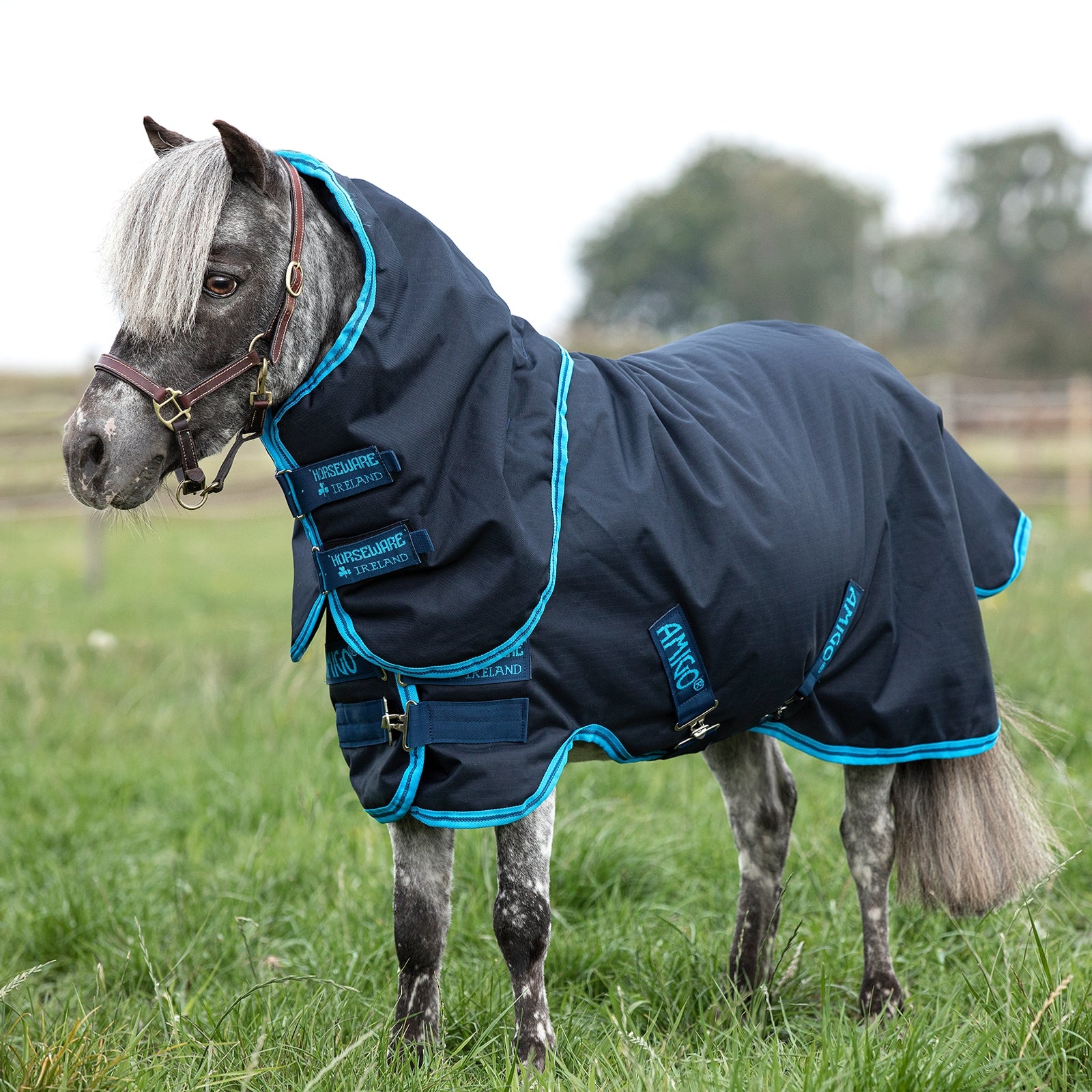 Horseware Amigo Hero 6 Petite Plus utedekken med avtakbar hals, 200 gram Dekken