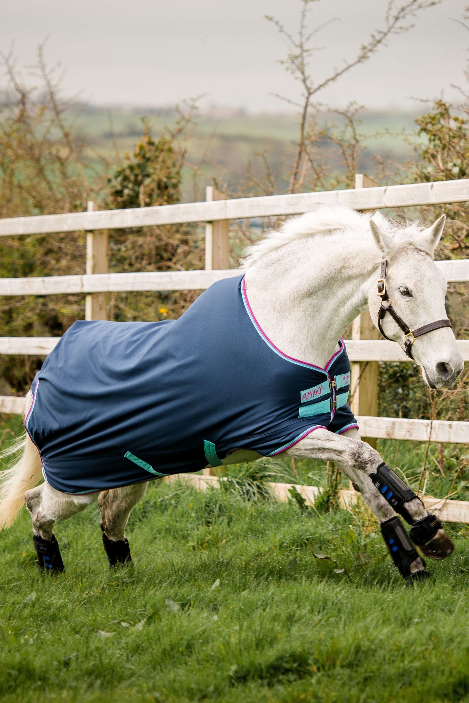 Horseware Amigo Hero 900 utedekken til ponni, 200 gram Dekken