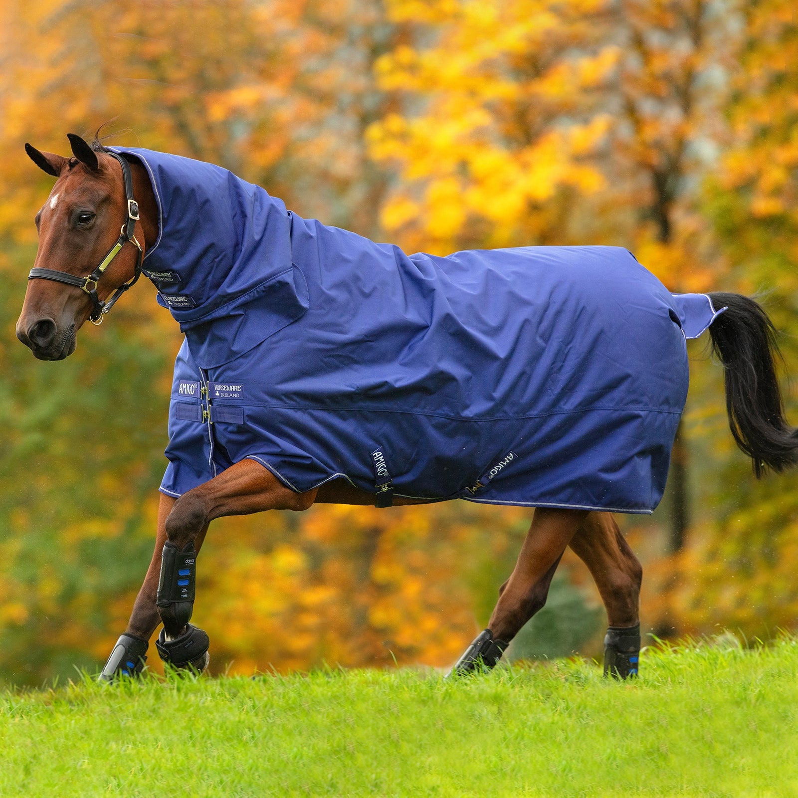 Horseware Amigo Hero 900 All-In-One utedekken med fast hals, 200 gram Dekken