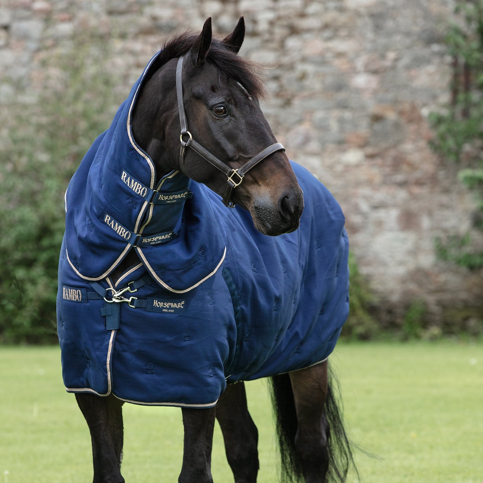 Horseware Rambo Deluxe Plus stalldekken med avtakbar hals, 2 Dekken