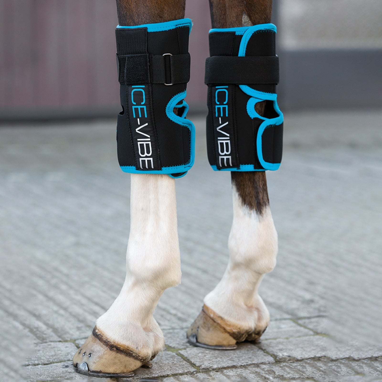 Horseware Ice-Vibe kneomslag Hestepleie