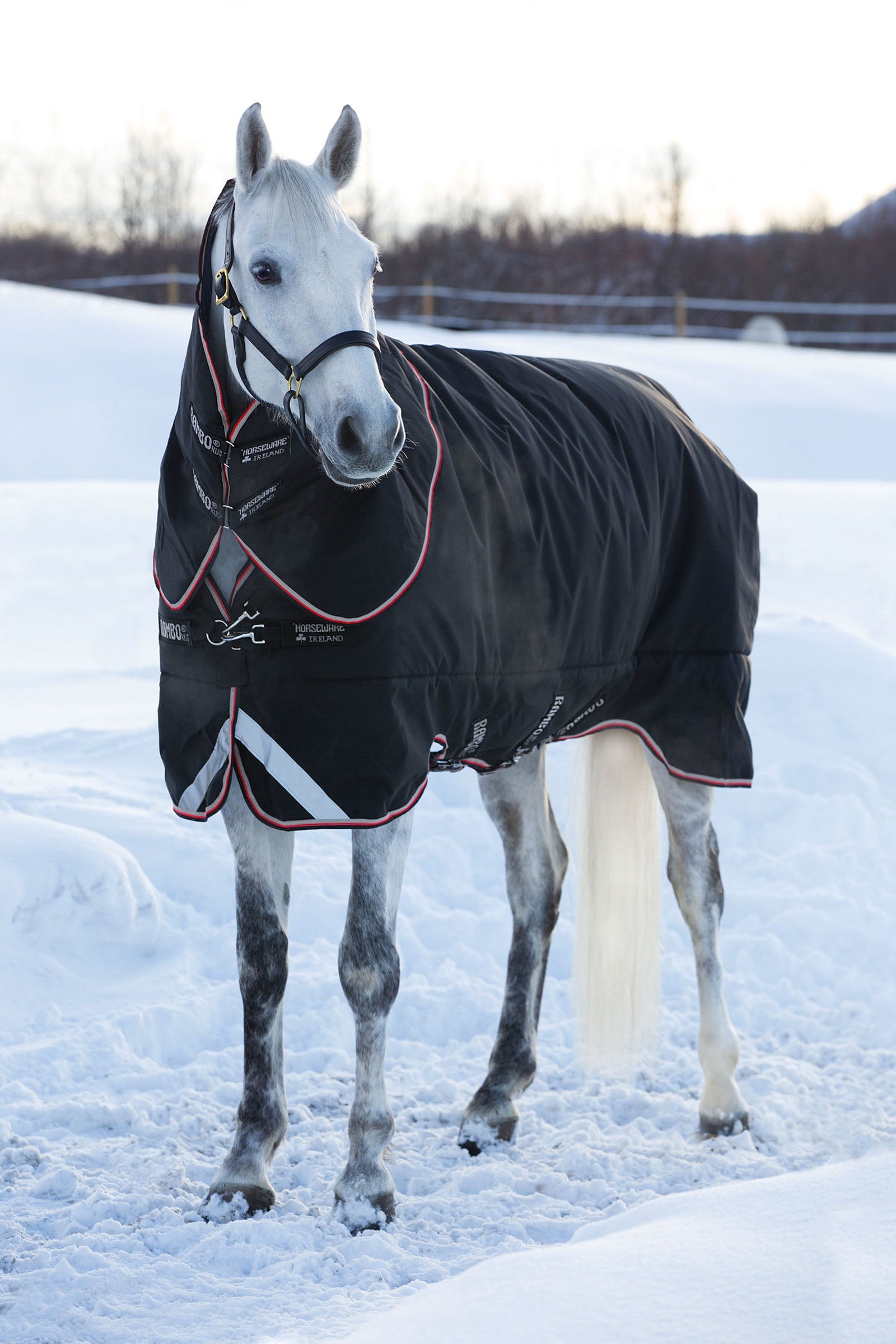 Horseware Rambo Supreme utedekken med avtakbar hals, 420 gram Dekken