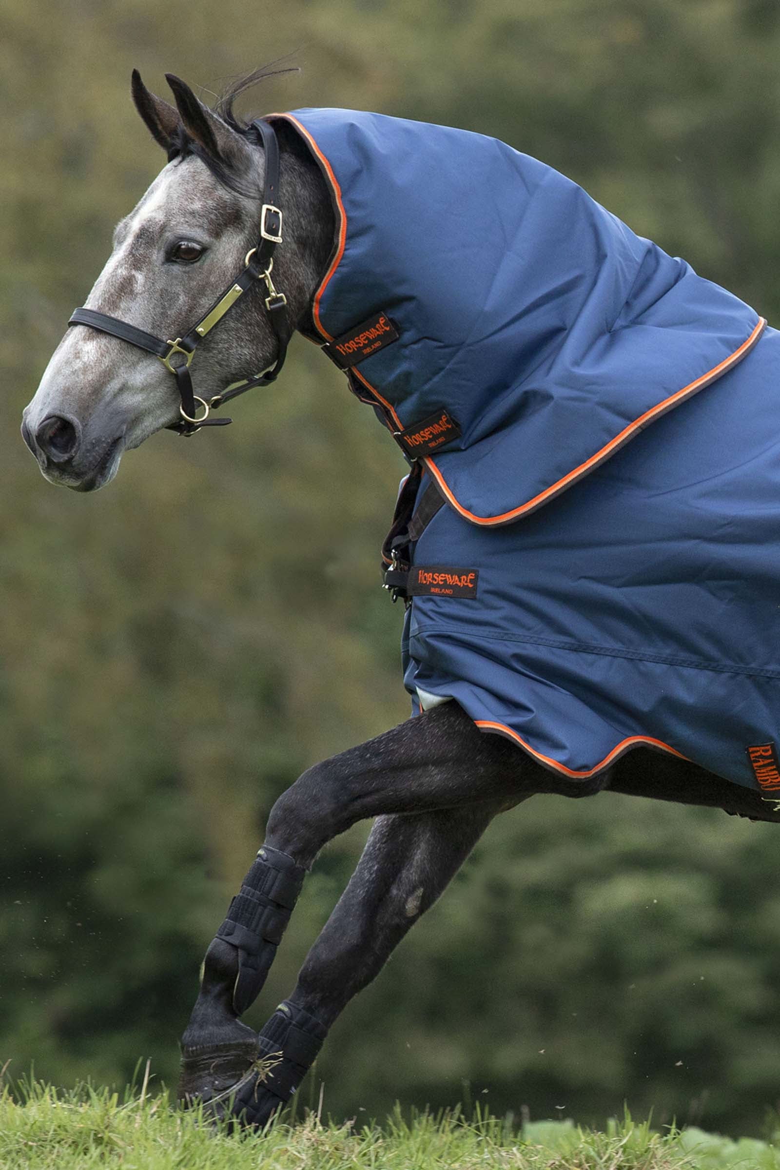 Horseware Rambo Duo Hood, 50g Dekken