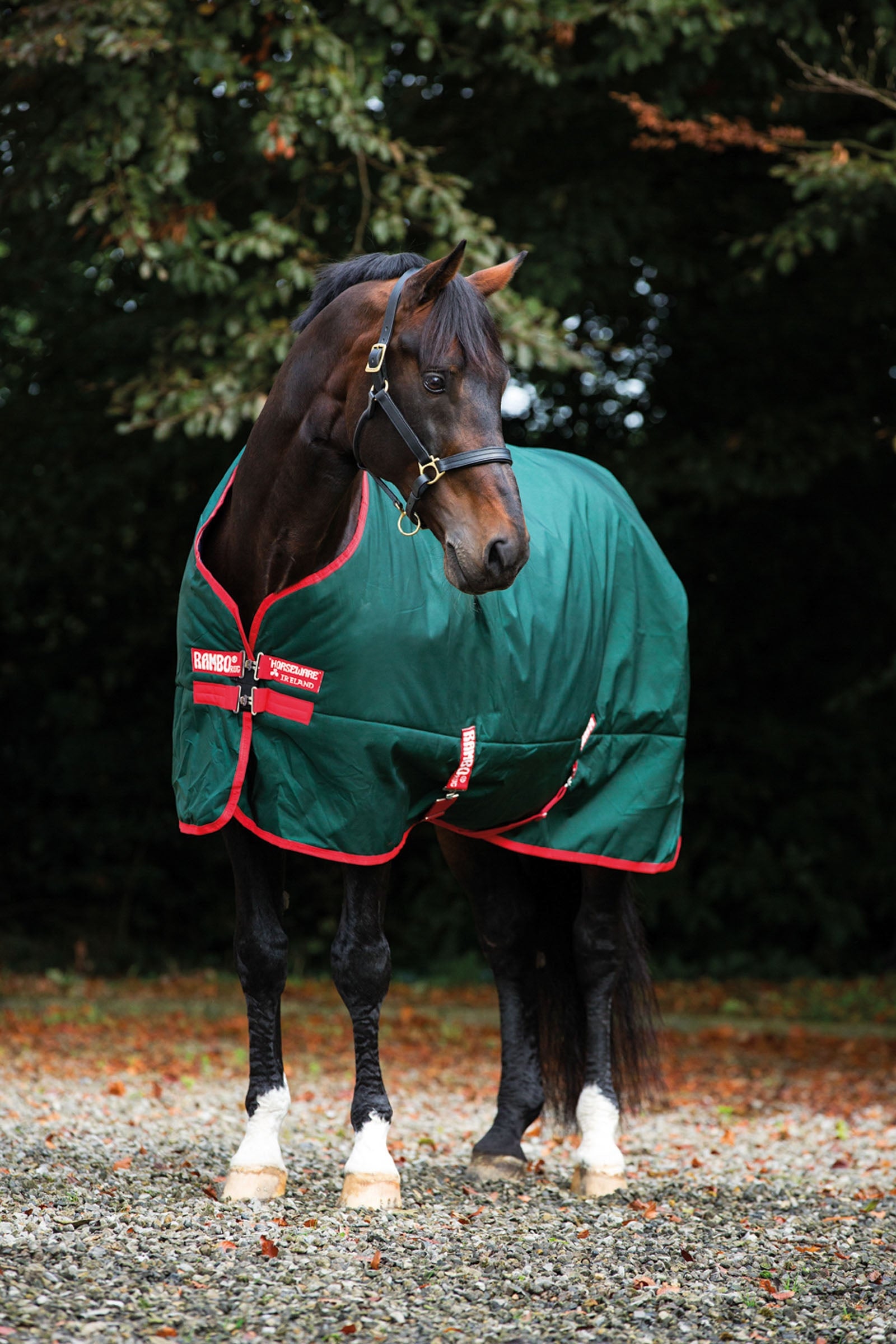 Horseware Rambo Original utedekken, 0 gram Dekken