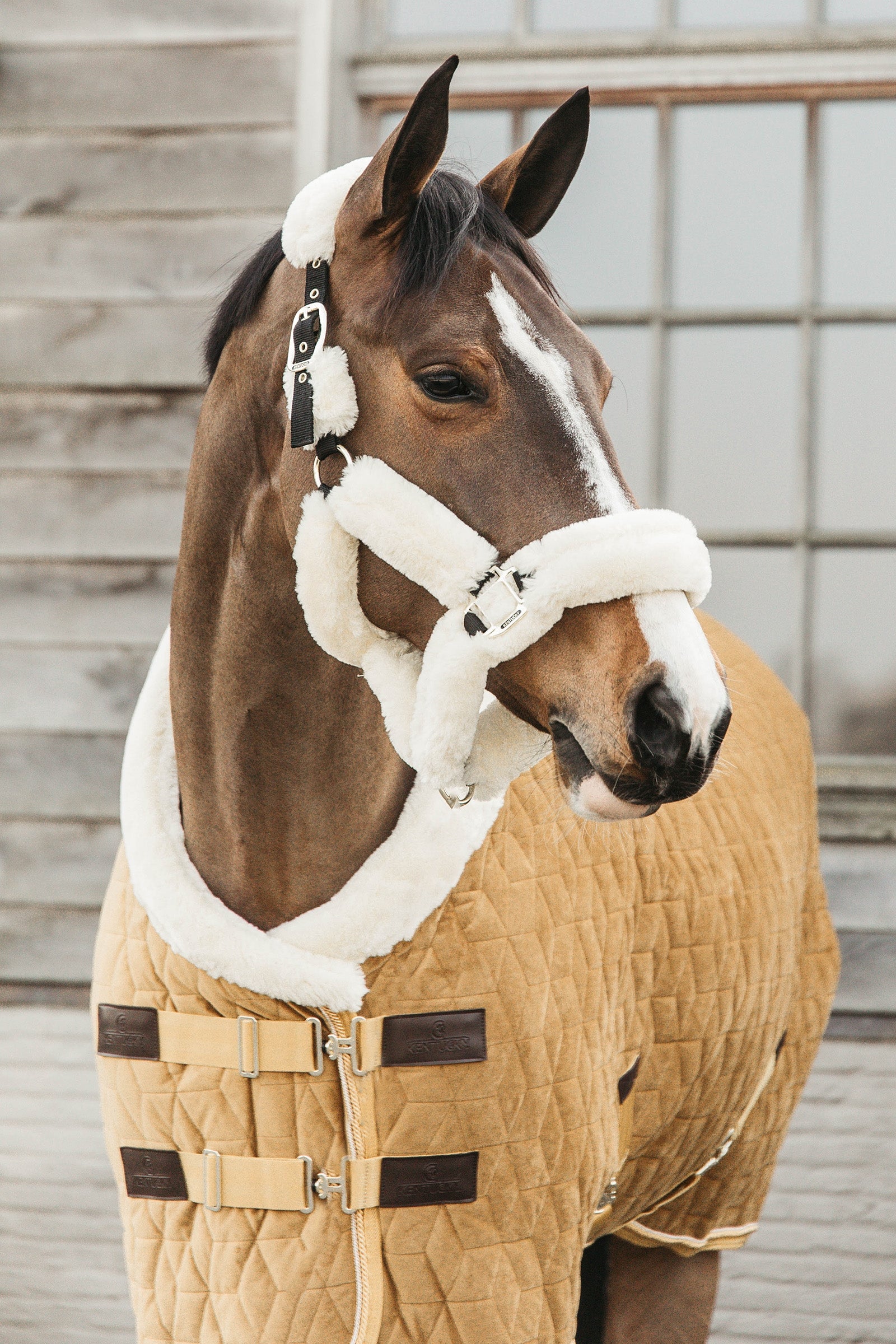 Kentucky Horsewear Kentucky Velvet stevnedekken, 160 gram Dekken