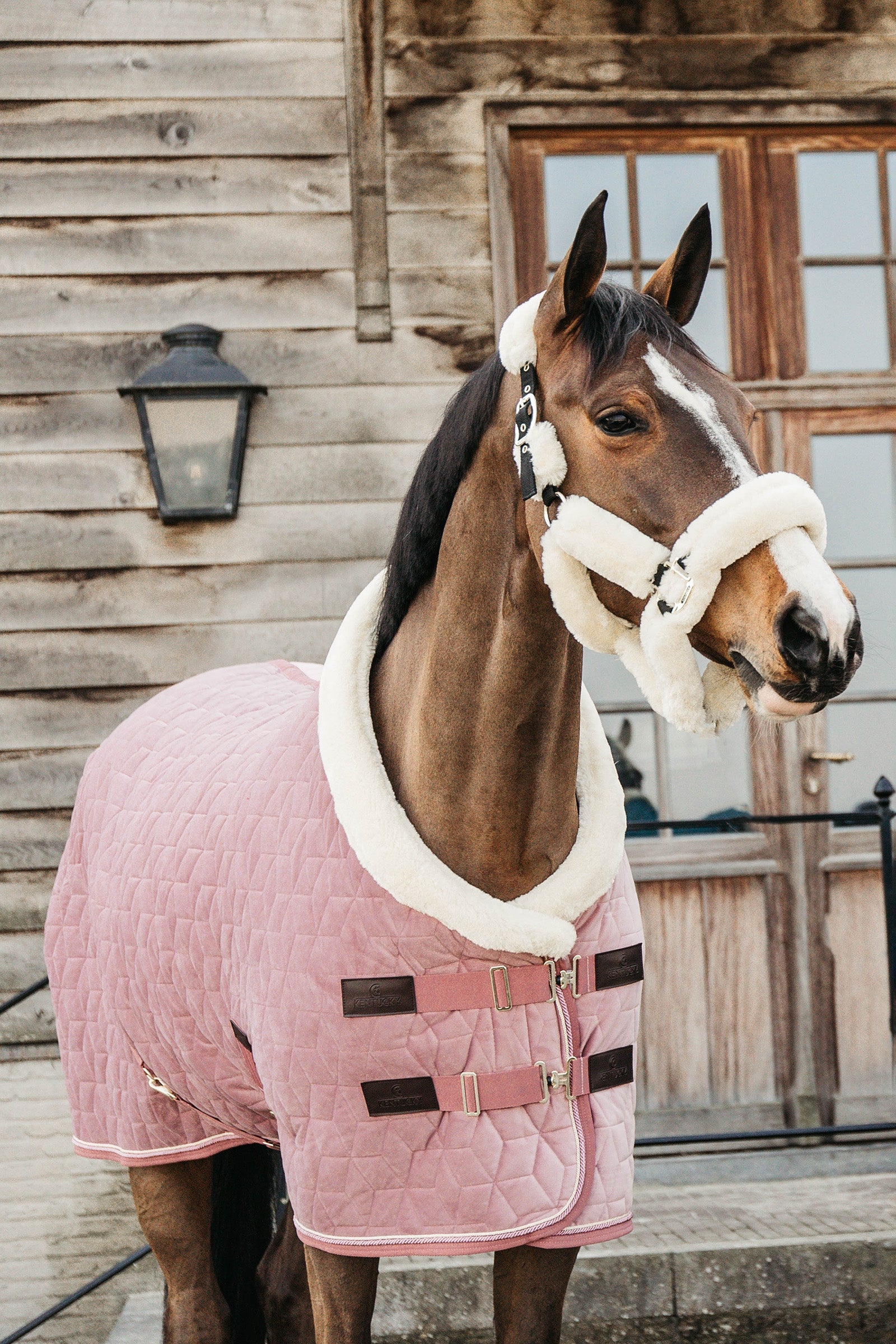 Kentucky Horsewear Kentucky Velvet stevnedekken, 160 gram Dekken