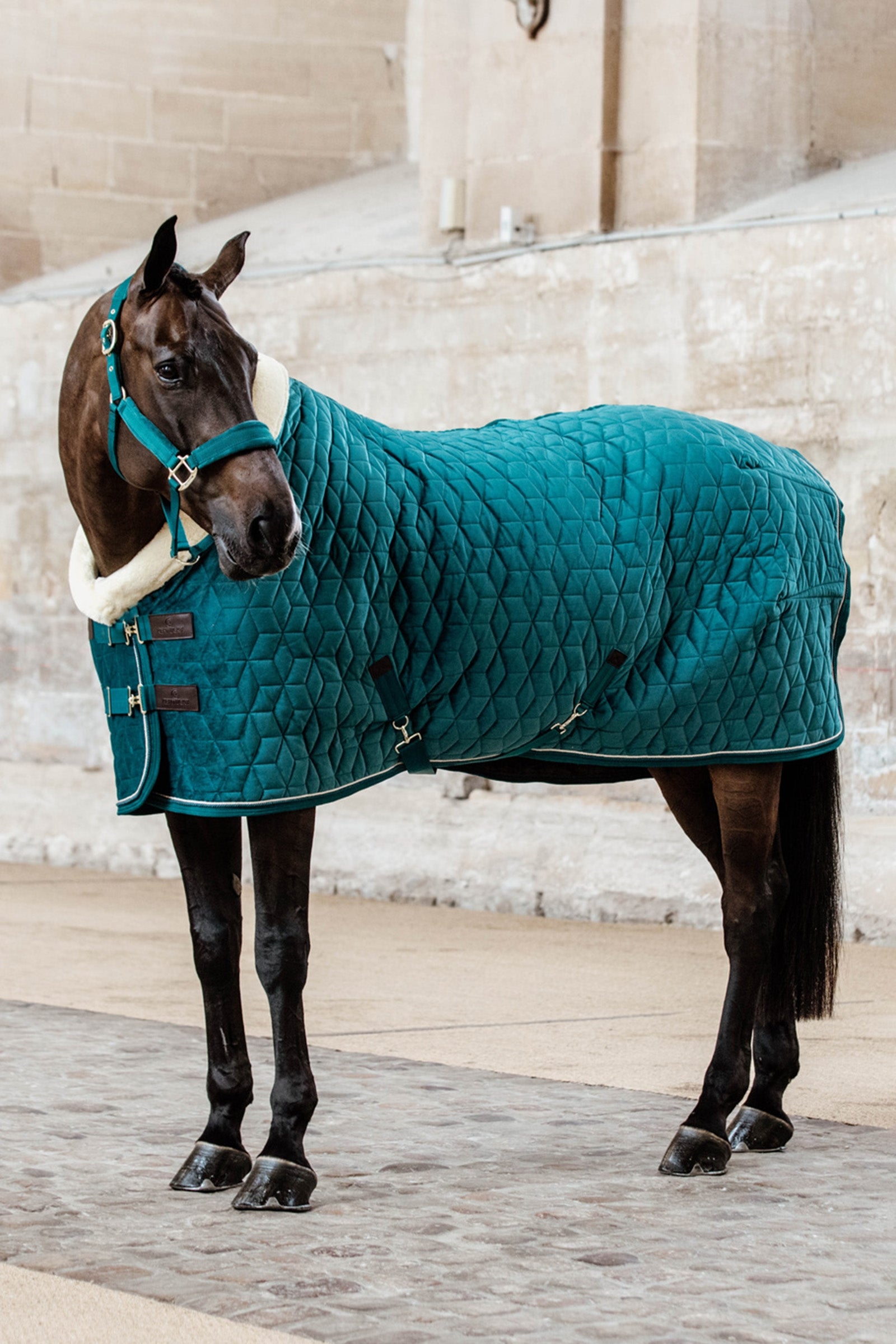 Kentucky Horsewear Velvet stevnedekken, 160 gram Dekken