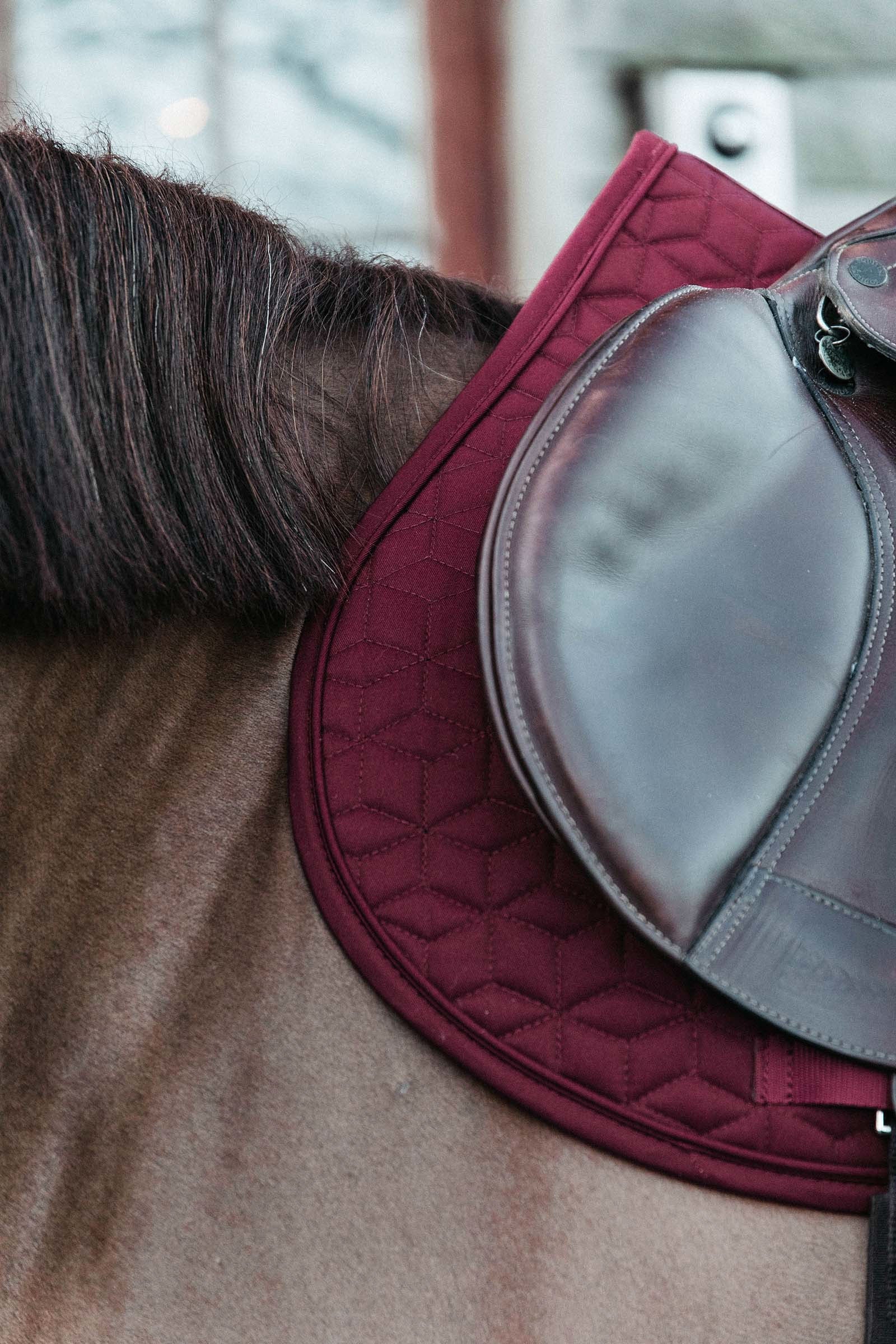 Kentucky Horsewear Basic Jumping Saddle Pad Saddle Pads