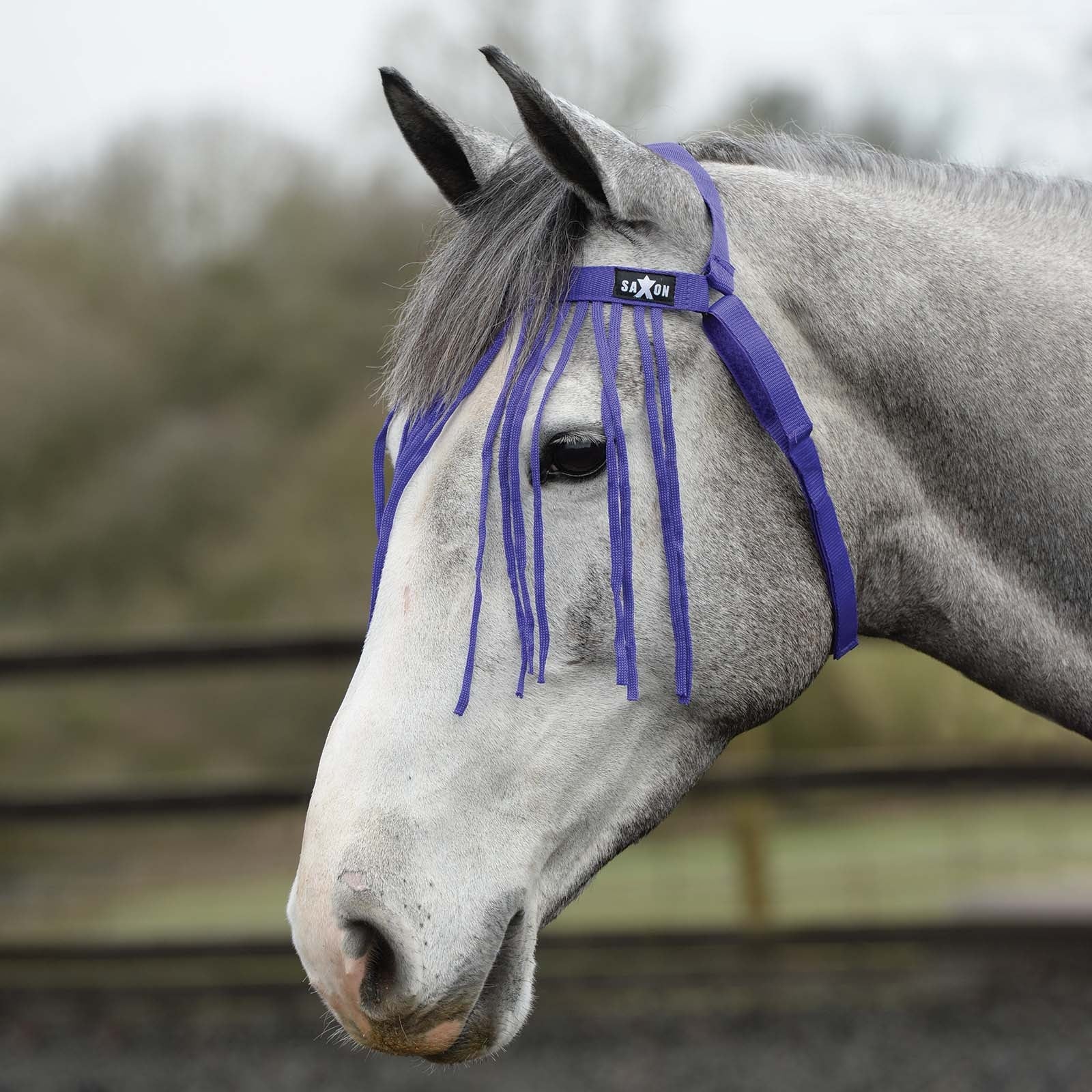 Saxon fluefrynser Fluebeskyttelse til hest
