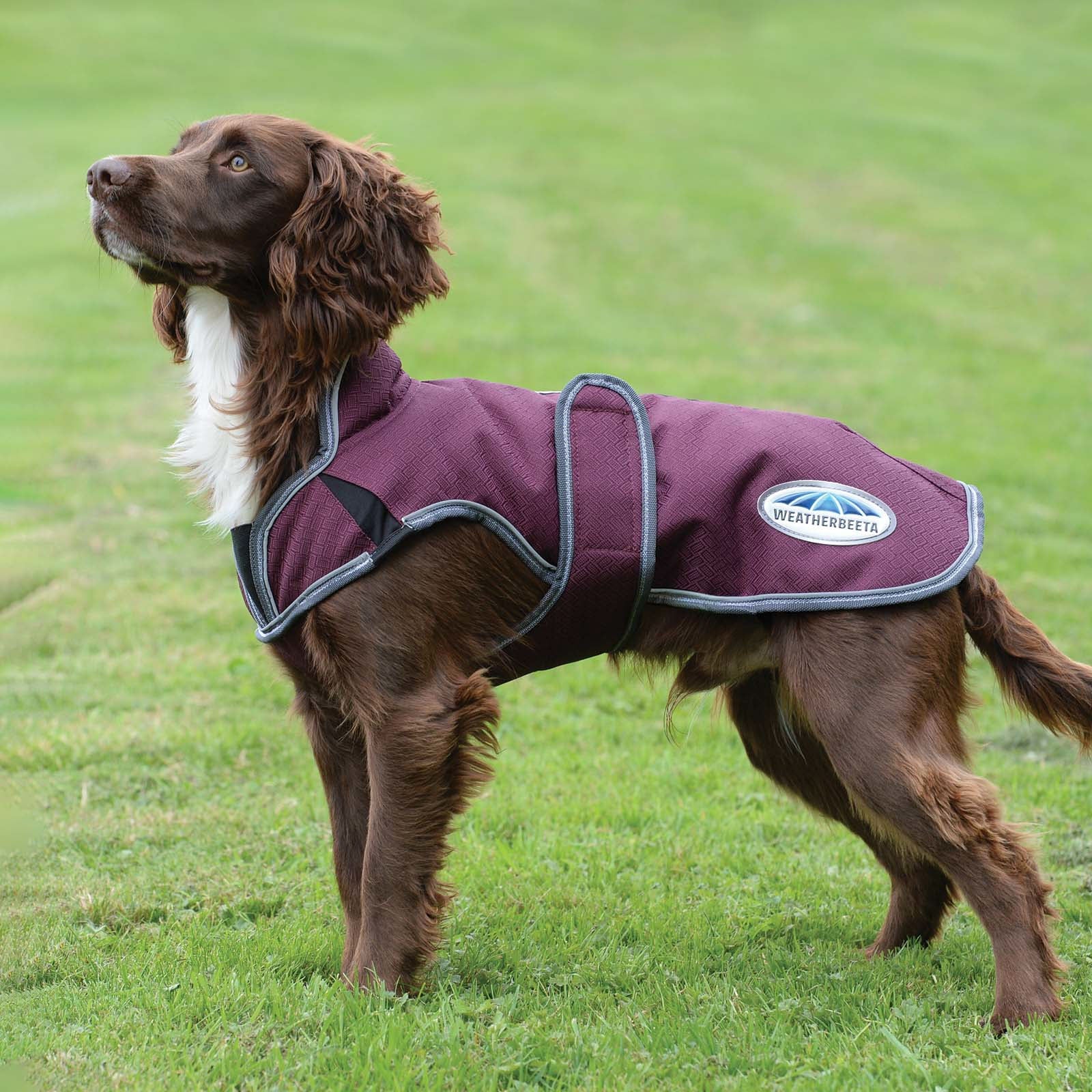 Weatherbeeta Comfitec Premier Free Parka Deluxe hundedekken, 220 gram Hundeutstyr