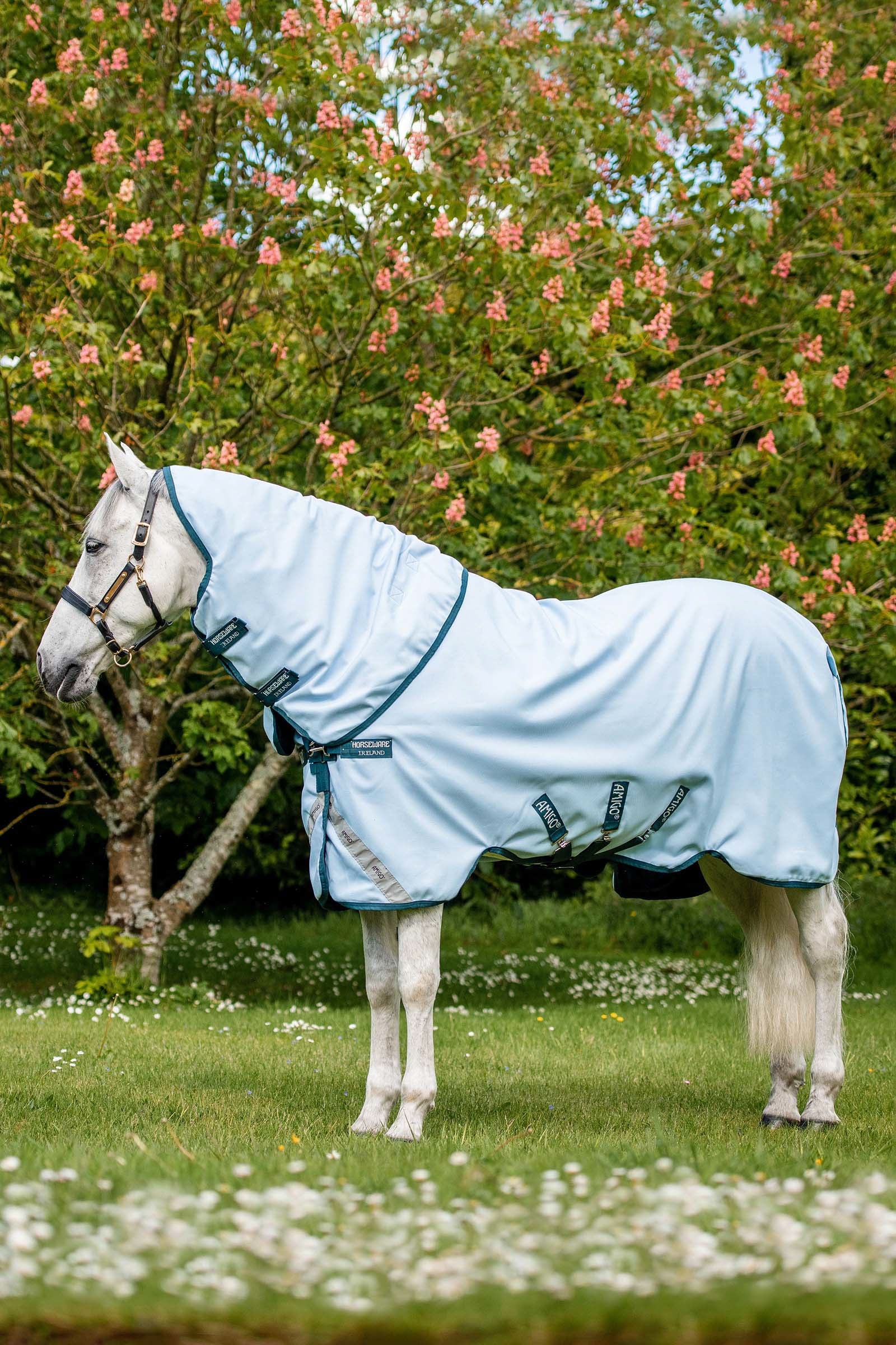 Horseware Amigo Plant Dye utedekken, 50 gram Dekken