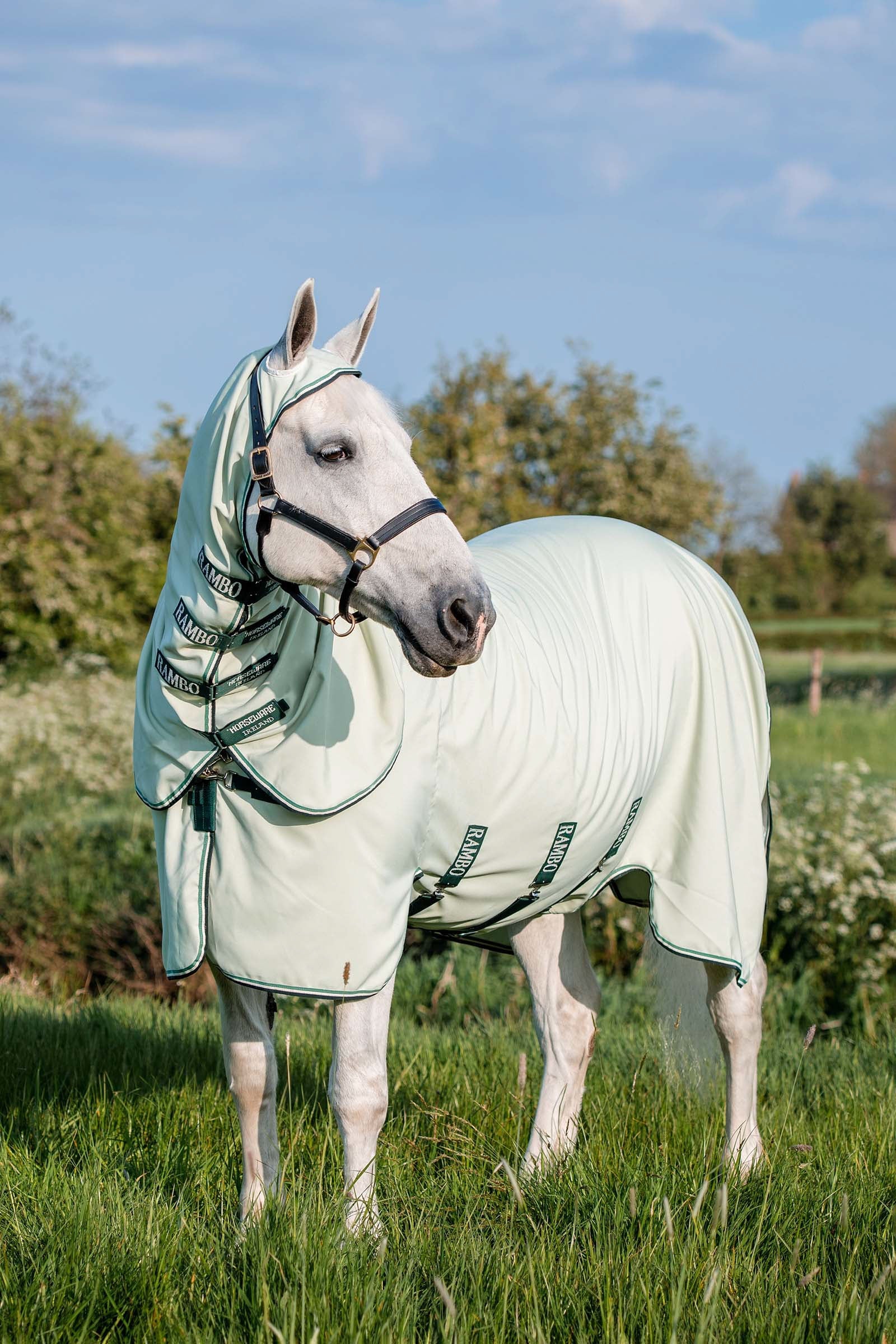 Horseware Rambo Hoody XL Dekken