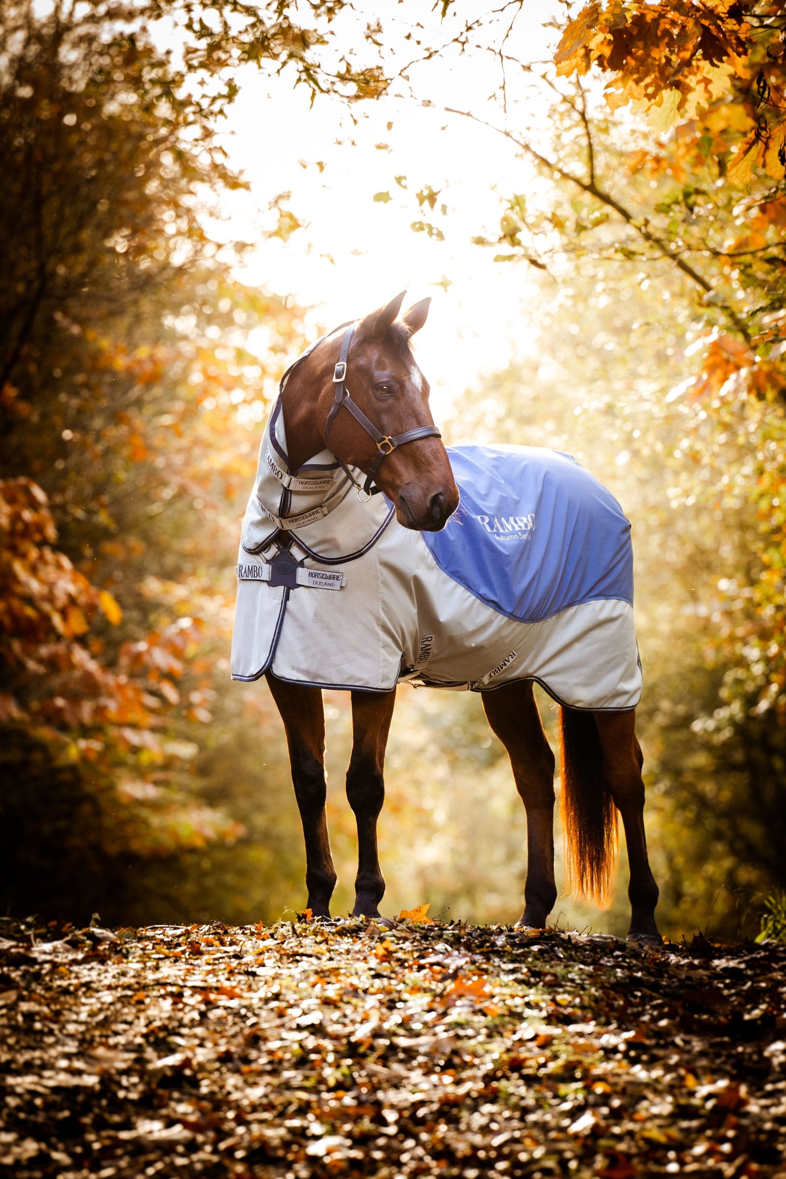 Horseware Rambo Autumn Series utedekken med underdekken (0 g / 100 g) Dekken