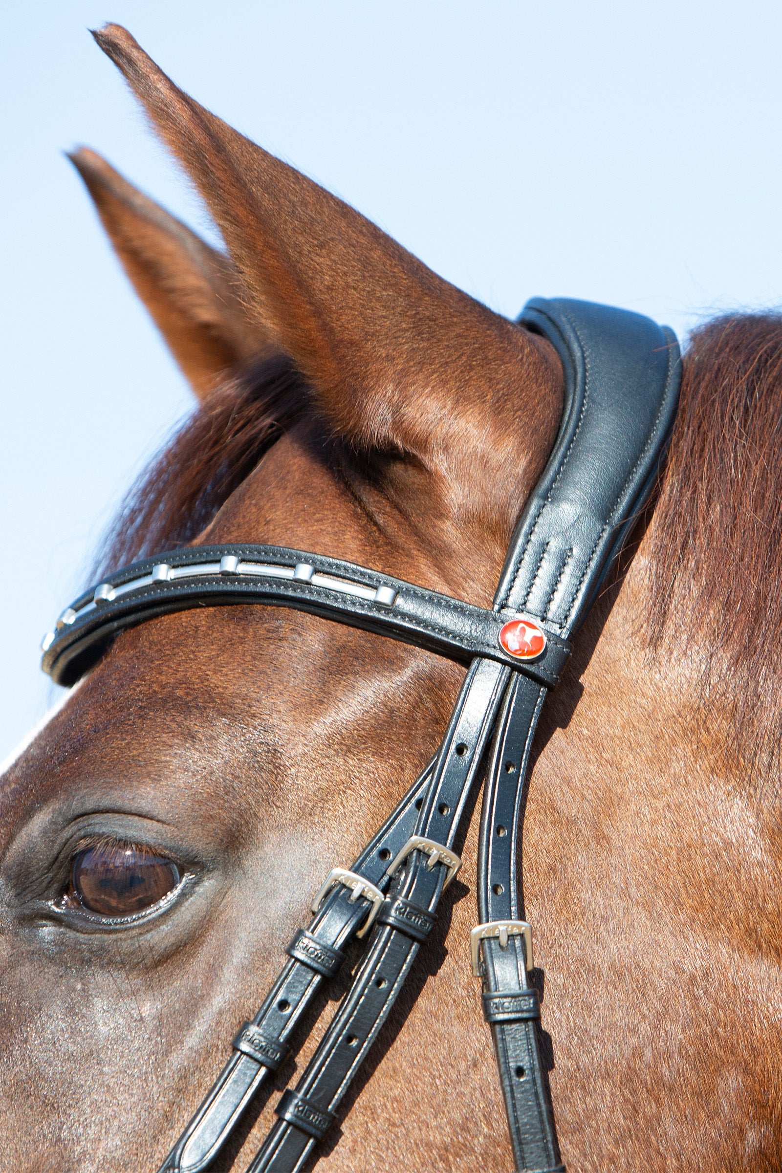 Kieffer Ultrasoft® Economy II Bridle Bridles & Reins