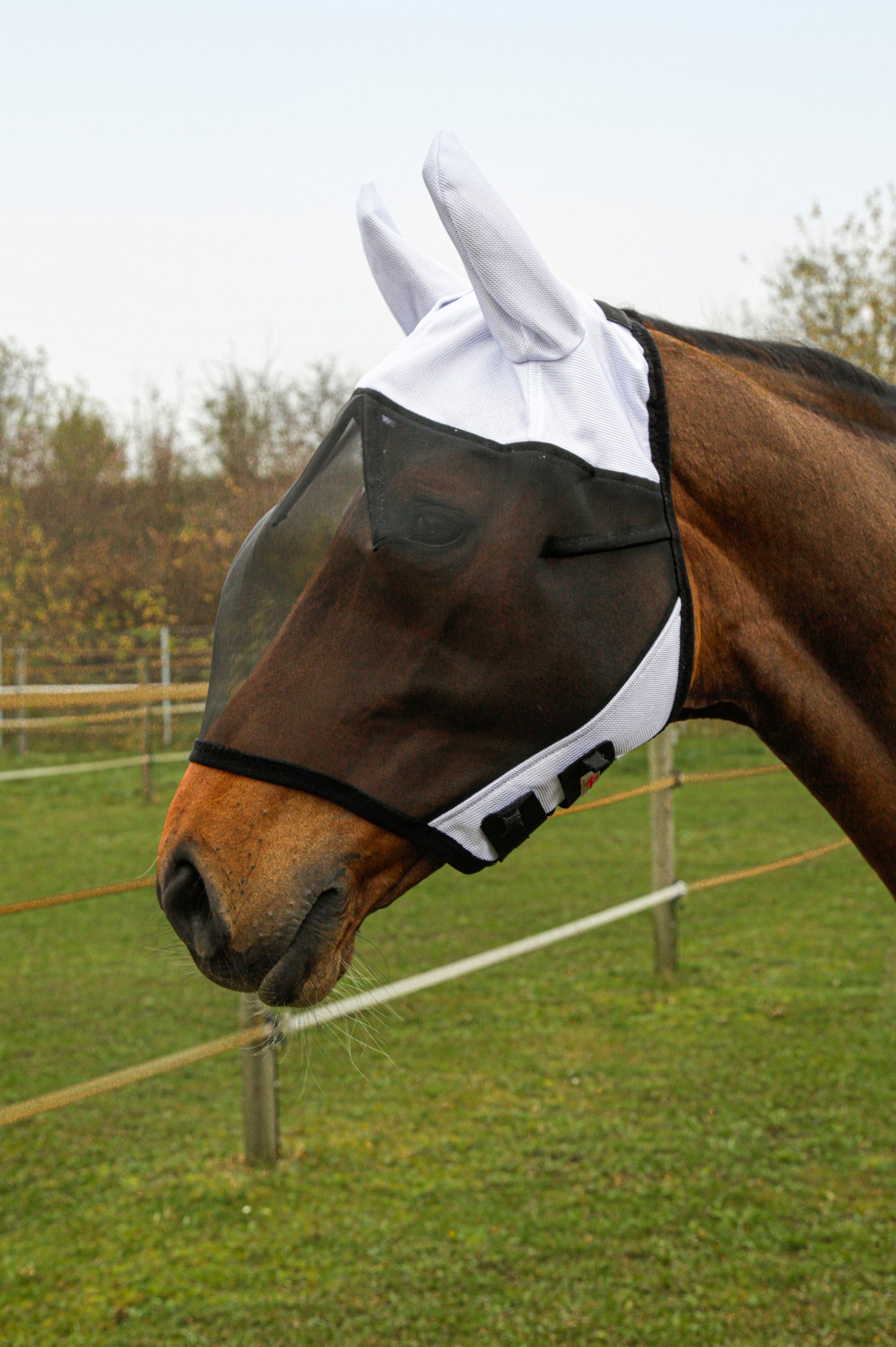 Covalliero SuperFly Fly Mask with Ear Protection Antifly Protection for Horses