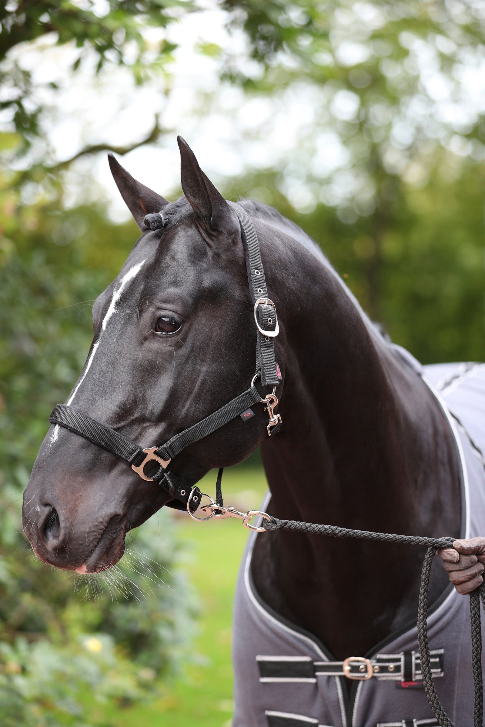 Covalliero Dexter grime med fleecefôring Grimer og leietau