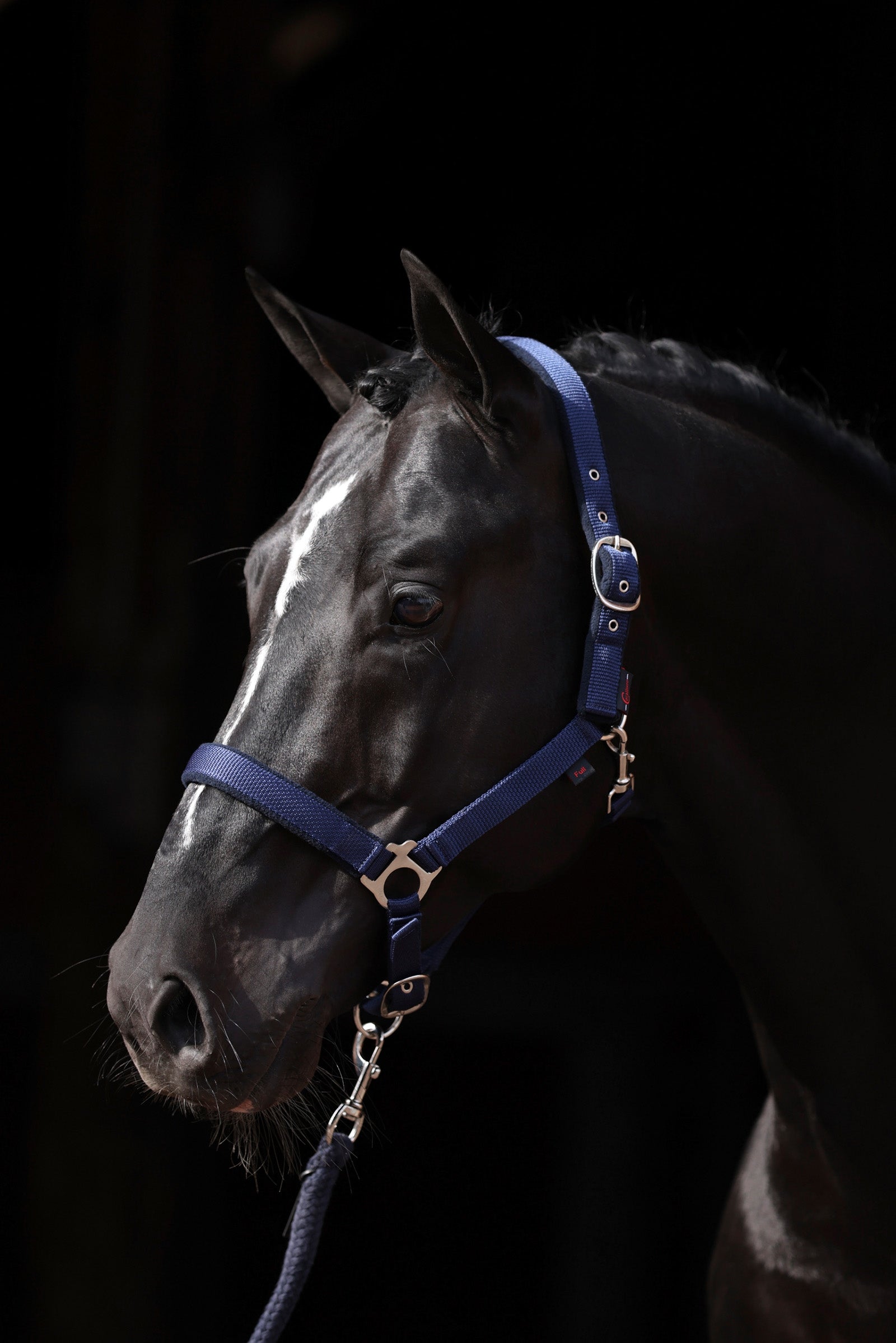 Covalliero Dexter grime med fleecefôring Grimer og leietau