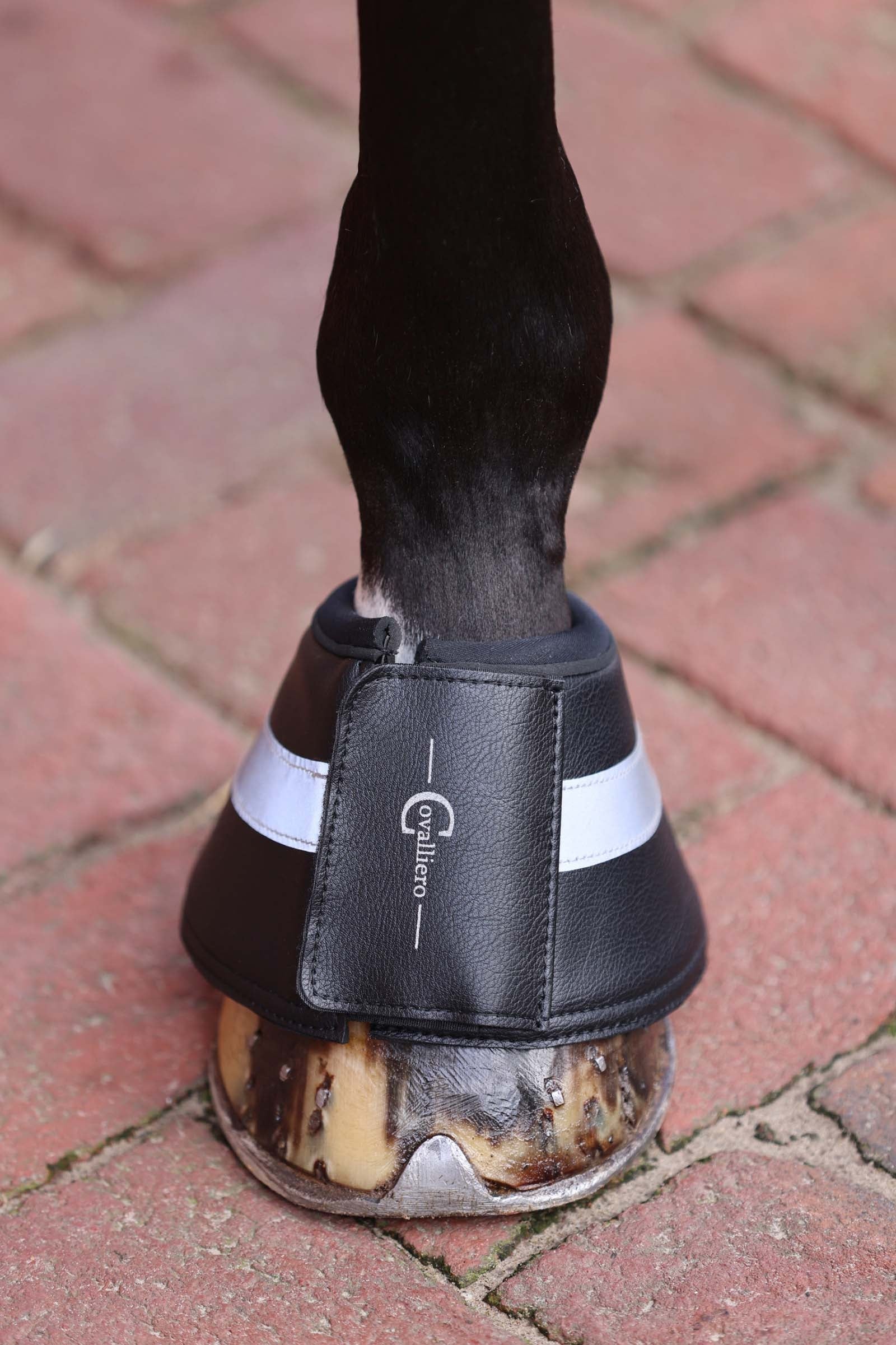 Covalliero Reflective Bell Boots Leg Protection & Hoof Protection for Horses